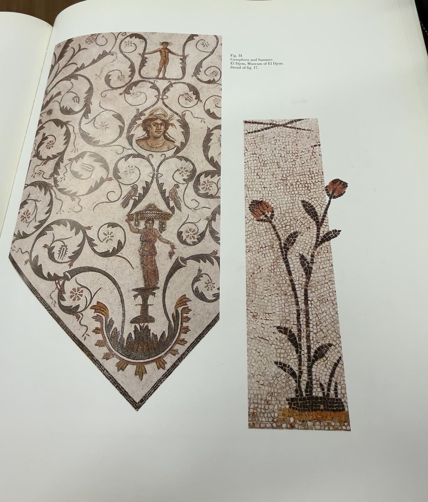 Mosaics of Roman Africa First Edition Hardcover Tunisia Floor Mosaics - Thumbnail 5