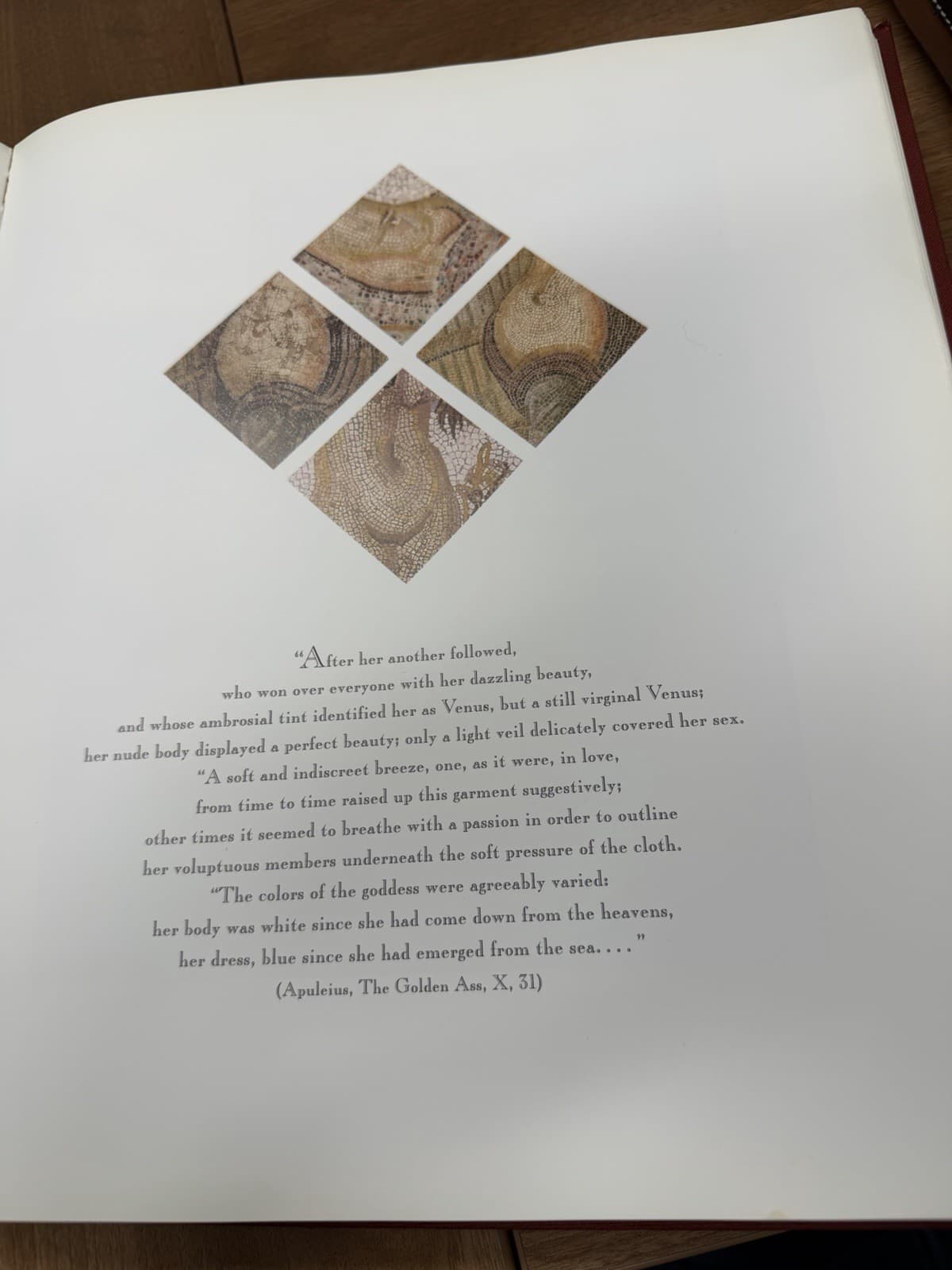 Mosaics of Roman Africa First Edition Hardcover Tunisia Floor Mosaics - Thumbnail 6