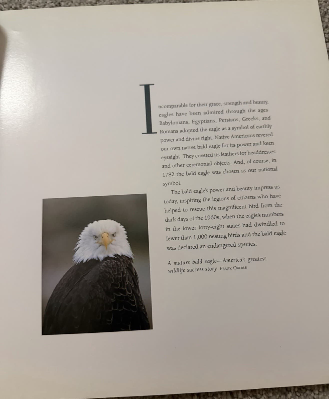 Return of the Eagle Greg Breining Bald Eagle Conservation - Thumbnail 3