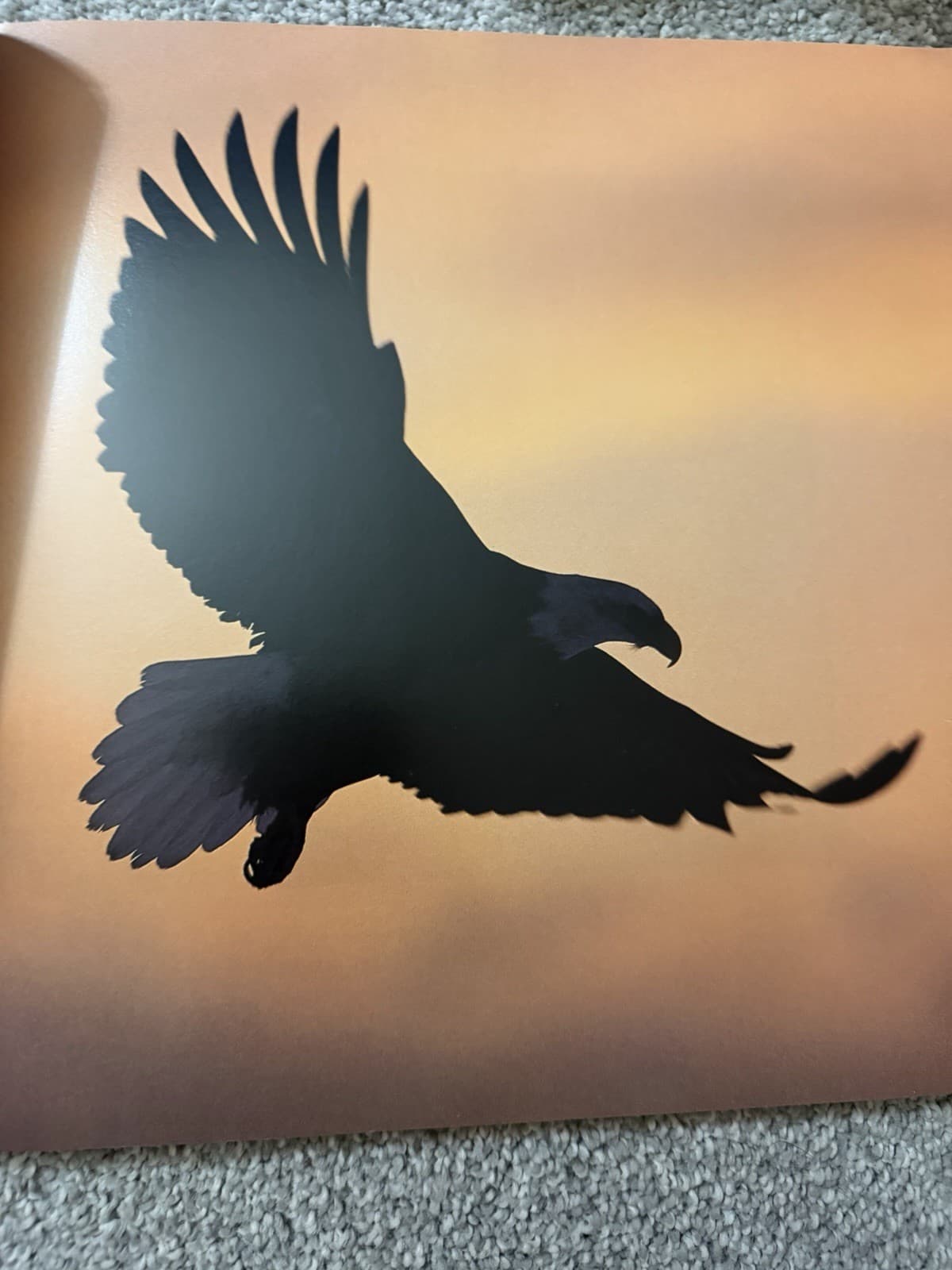 Return of the Eagle Greg Breining Bald Eagle Conservation - Thumbnail 4