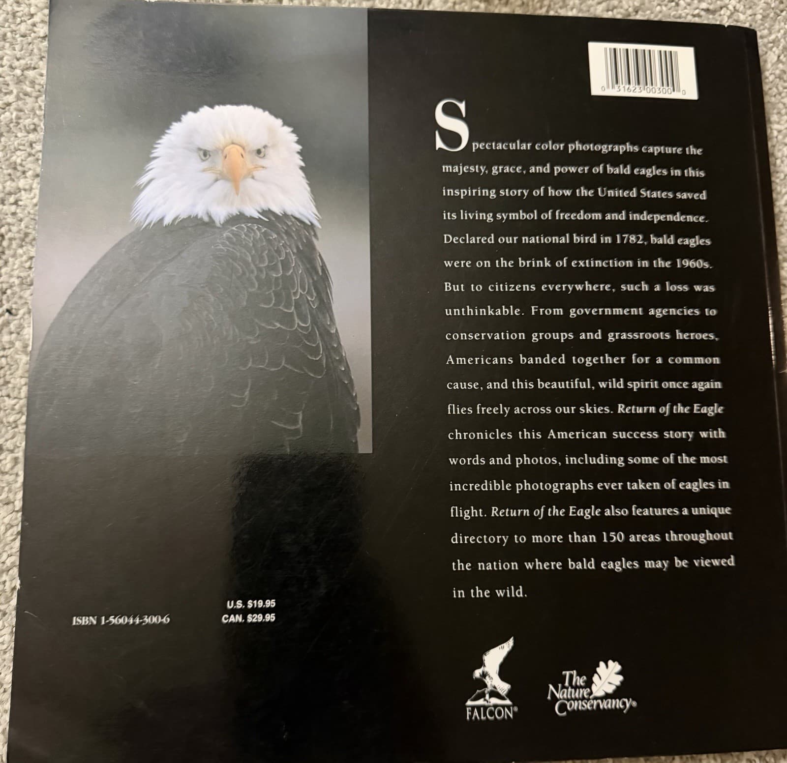 Return of the Eagle Greg Breining Bald Eagle Conservation - Thumbnail 5