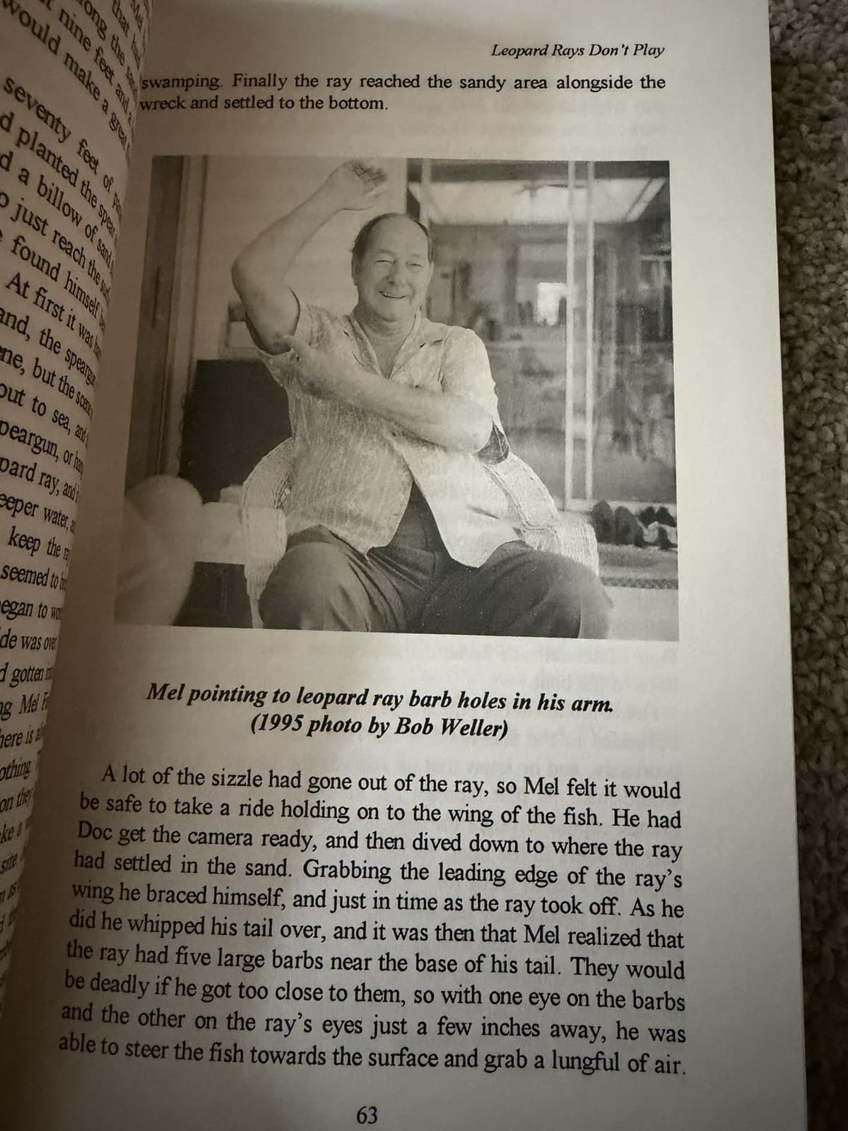“The Dreamweaver”First Edition paperback - Thumbnail 5