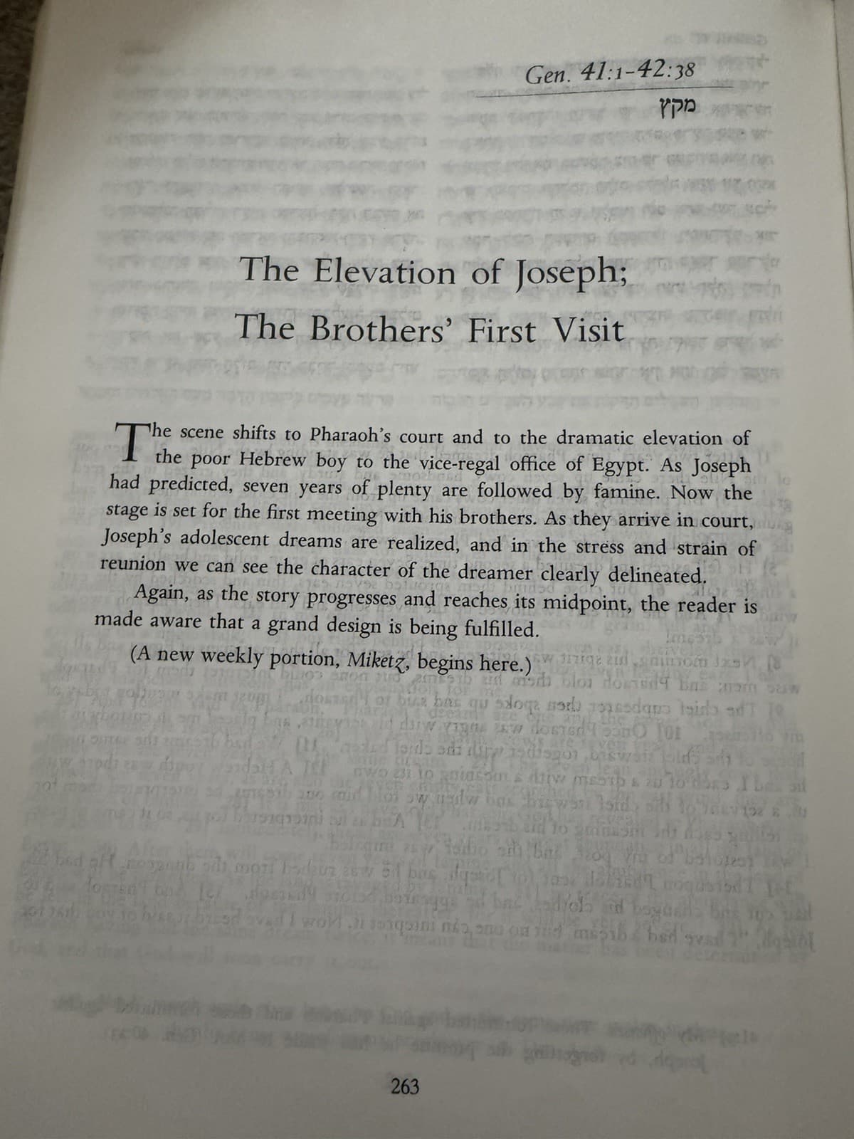 The Torah: A Modern Commentary – Plaut (1981, 4th Printing) - Thumbnail 6