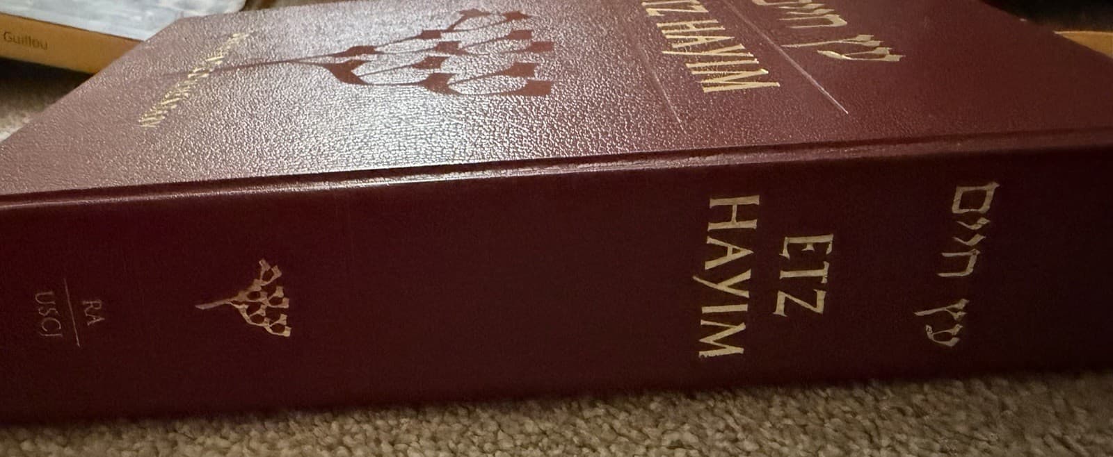 Etz Hayim: Torah and Commentary – First Printing (2001) David Lieber - Thumbnail 8