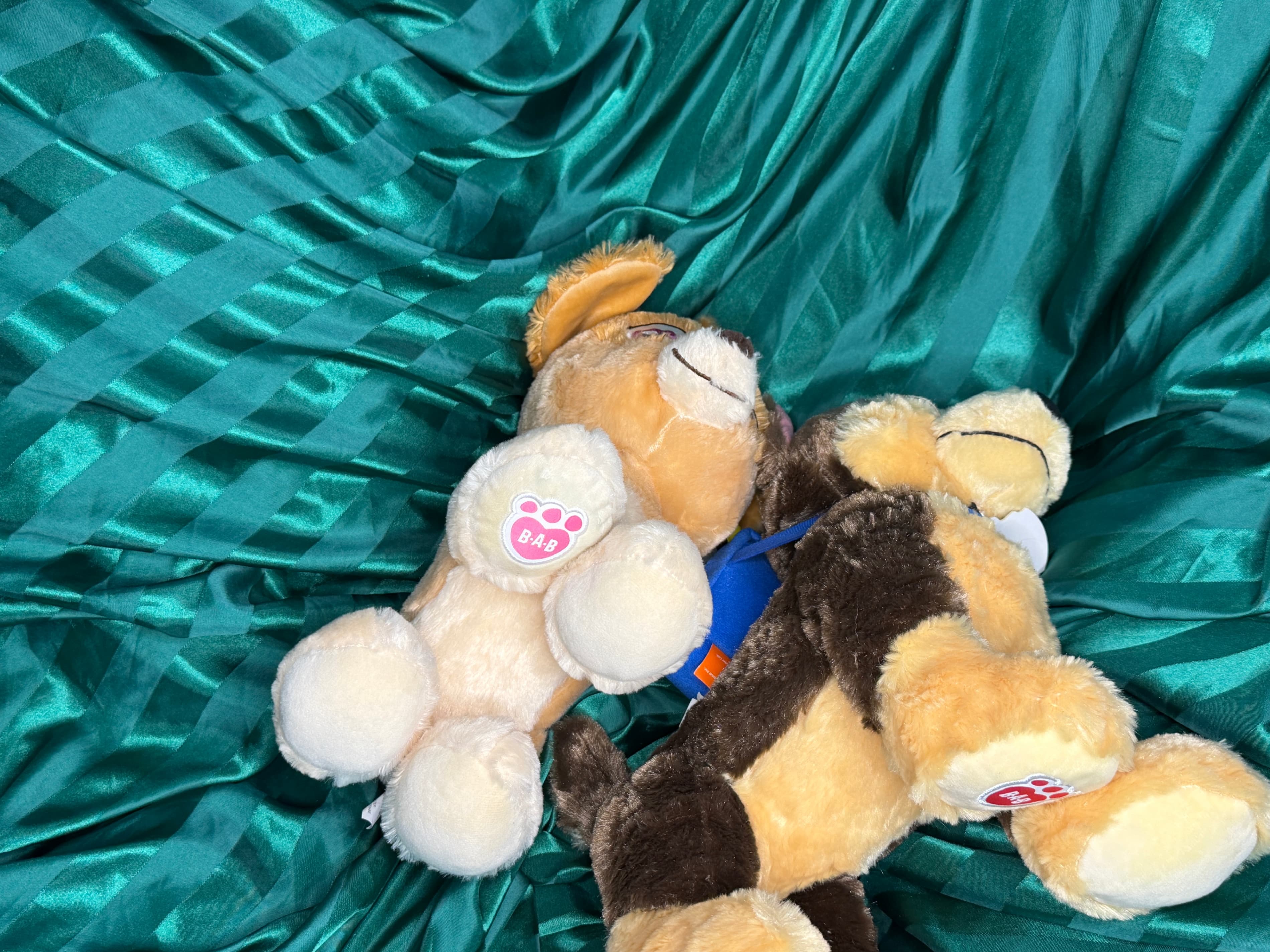 BUNDLE Build-A-Bear Plush Chase & Sky Paw Patrol