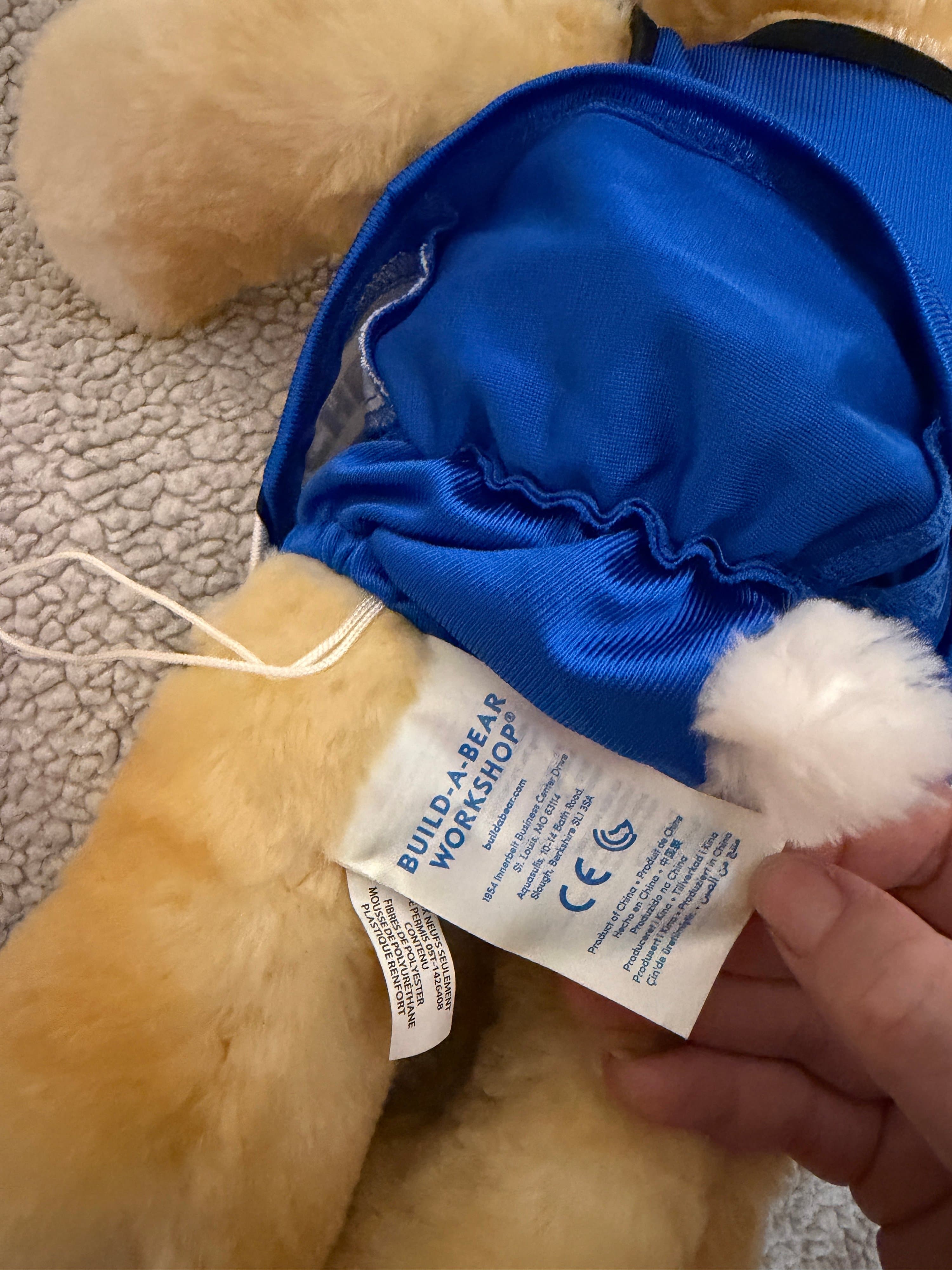 Build-A-Bear Bunny Duo Lot - Pawlette Plush & Rare More Moves Bunny PLUS Outfits - Thumbnail 9