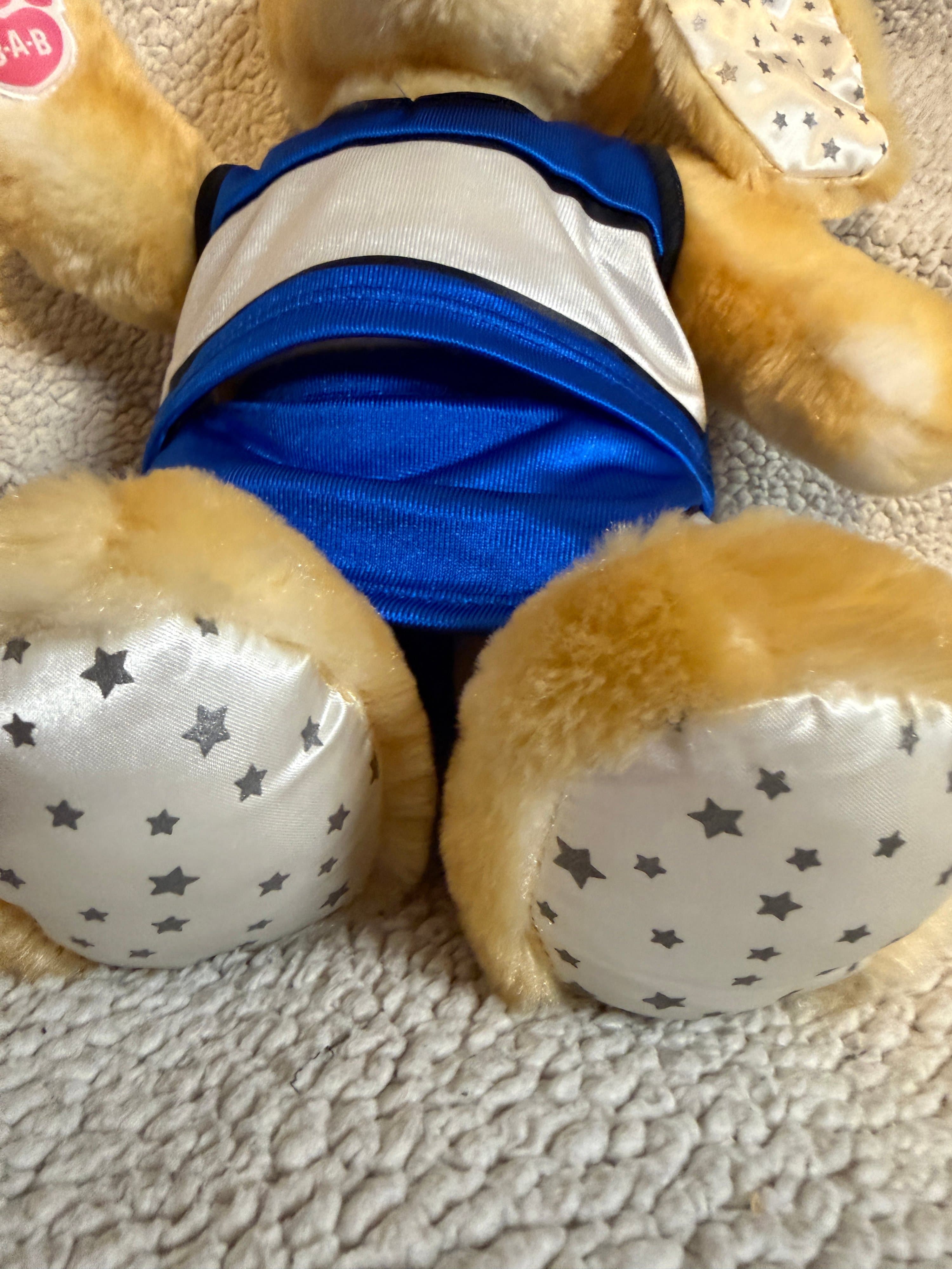 Build-A-Bear Bunny Duo Lot - Pawlette Plush & Rare More Moves Bunny PLUS Outfits - Thumbnail 11