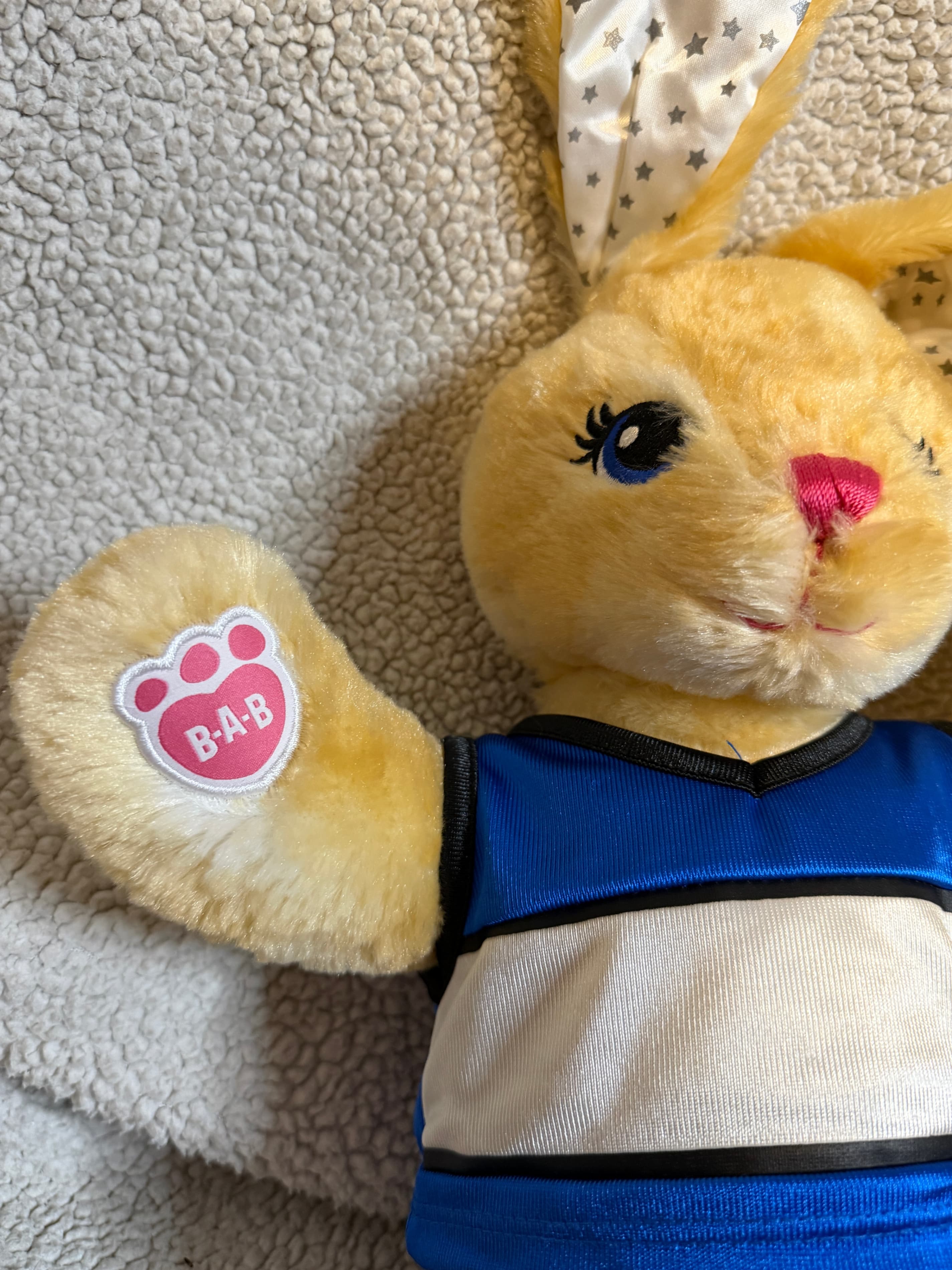 Build-A-Bear Bunny Duo Lot - Pawlette Plush & Rare More Moves Bunny PLUS Outfits - Thumbnail 12