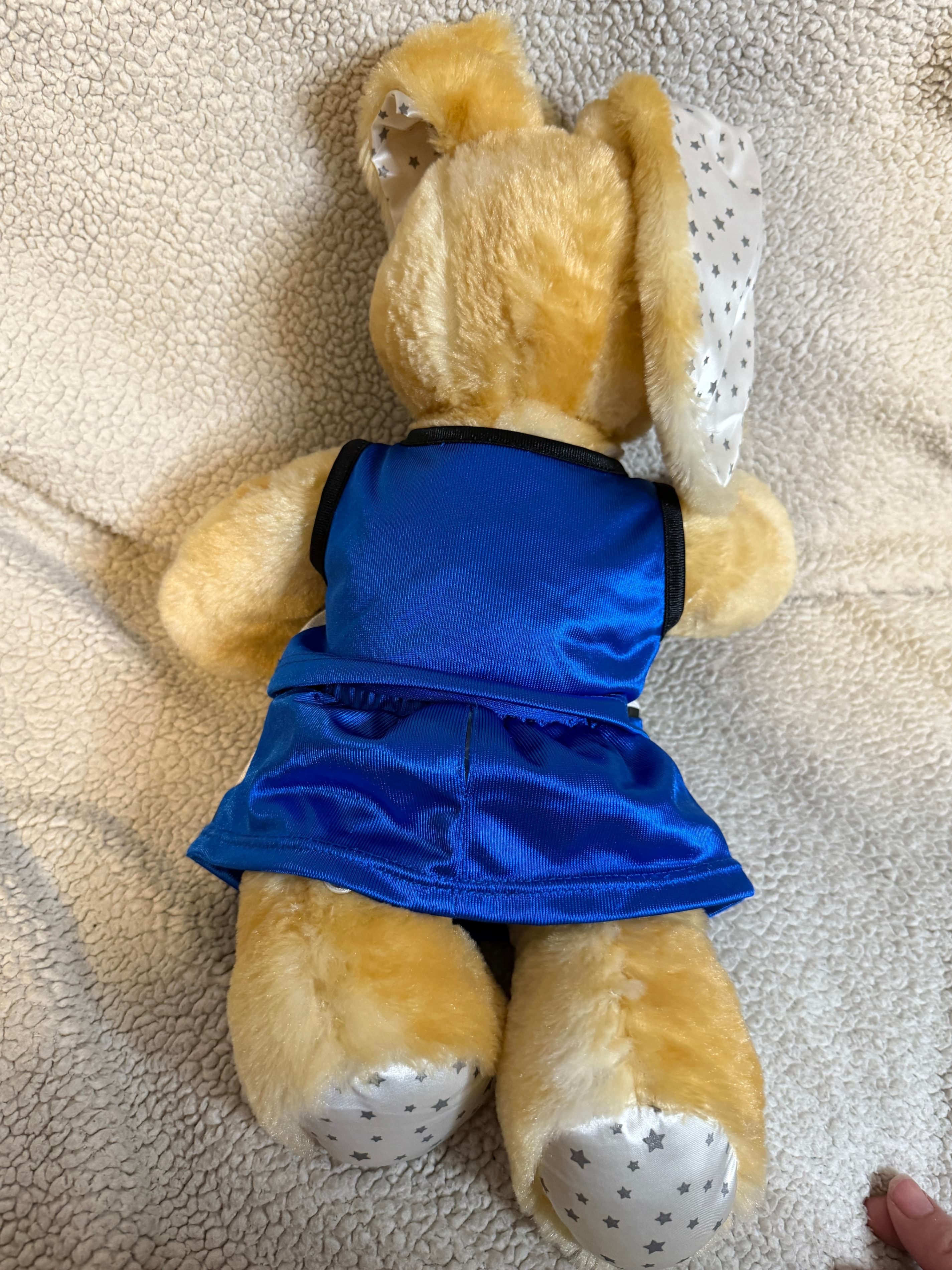 Build-A-Bear Bunny Duo Lot - Pawlette Plush & Rare More Moves Bunny PLUS Outfits - Thumbnail 13