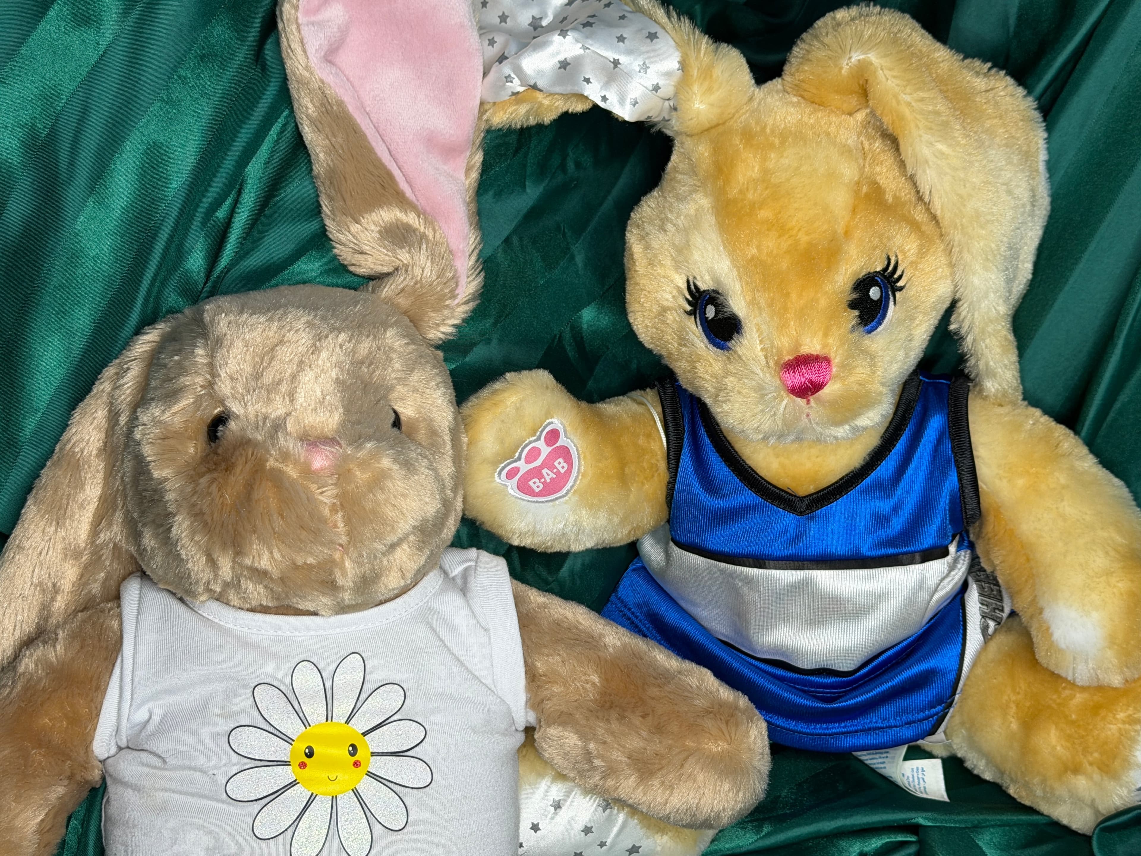 Build-A-Bear Bunny Duo Lot - Pawlette Plush & Rare More Moves Bunny PLUS Outfits - Thumbnail 15