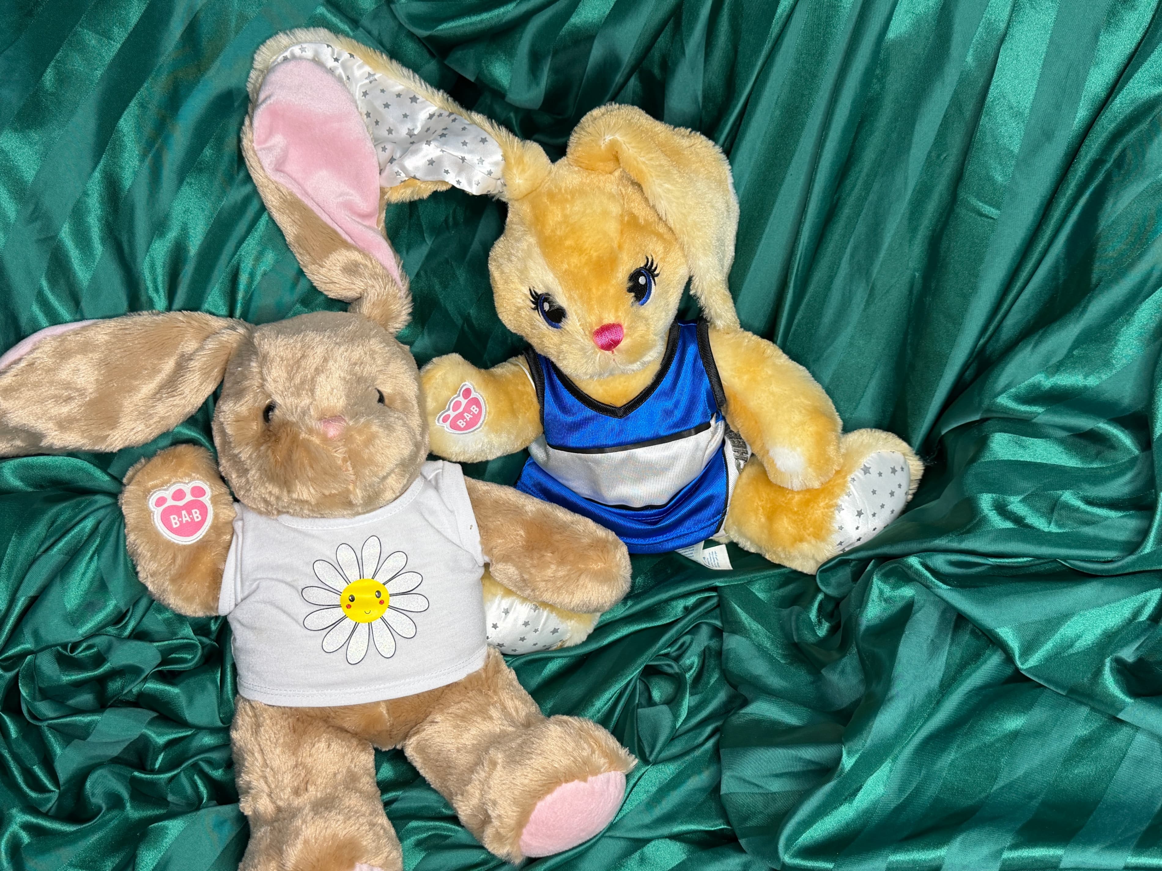 Build-A-Bear Bunny Duo Lot - Pawlette Plush & Rare More Moves Bunny PLUS Outfits