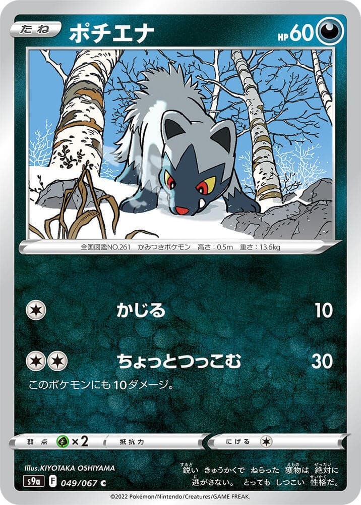 Poochyena Common S9a: Battle Region 049/067 NM