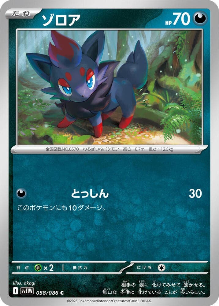 Zorua - Common SV11W: White Flare 058/086 NM