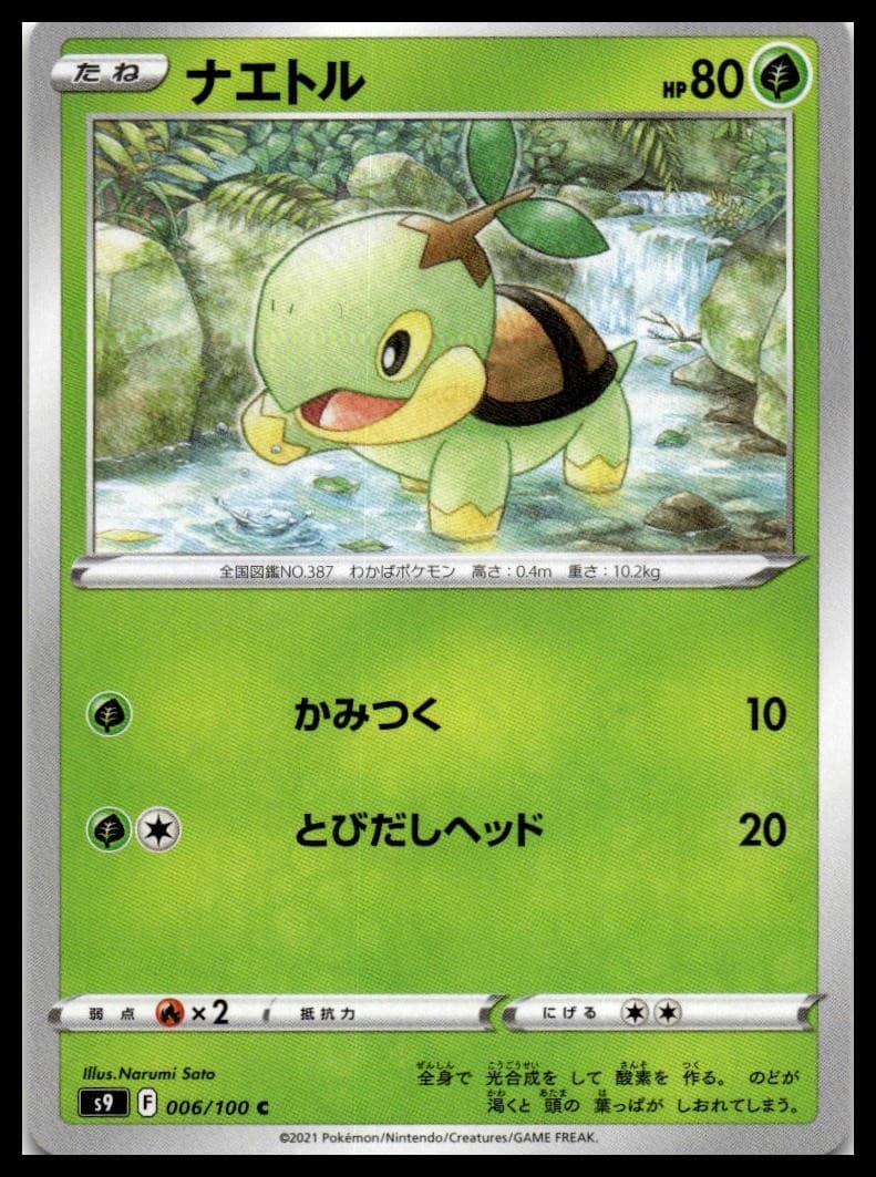 Turtwig S9 006/100 NM