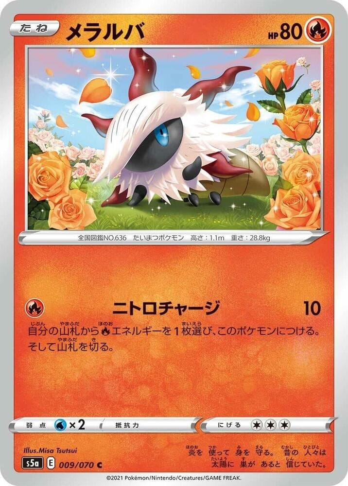 Larvesta S5A 009/070 NM
