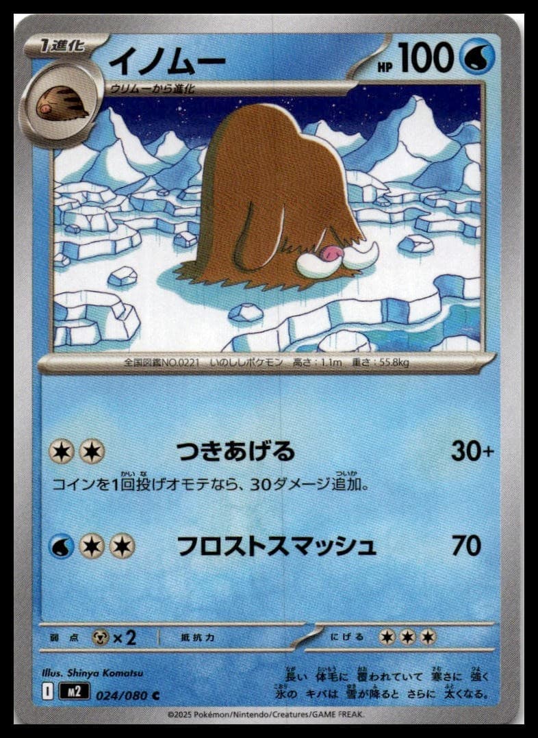 Piloswine M2 024/080 NM