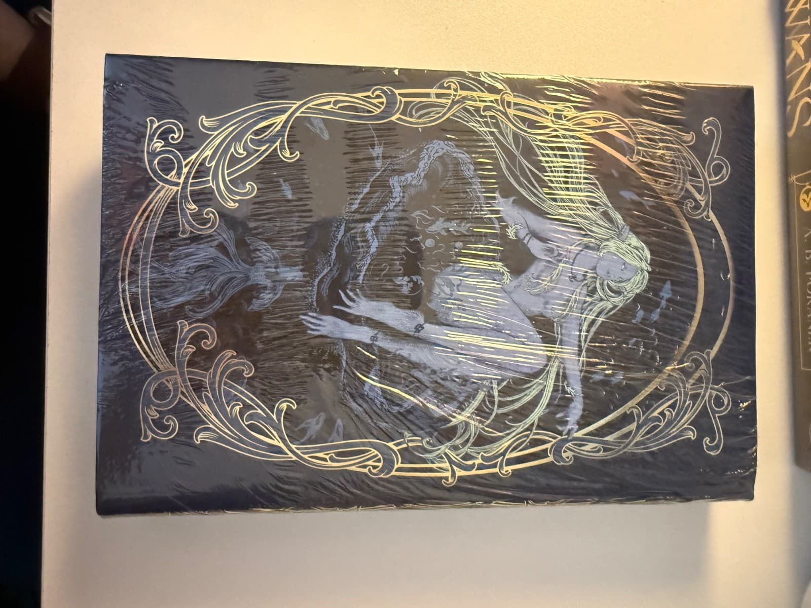 ILLUMICRATE A Dark and Drowning Tide SIGNED — Allison Saft - Thumbnail 3