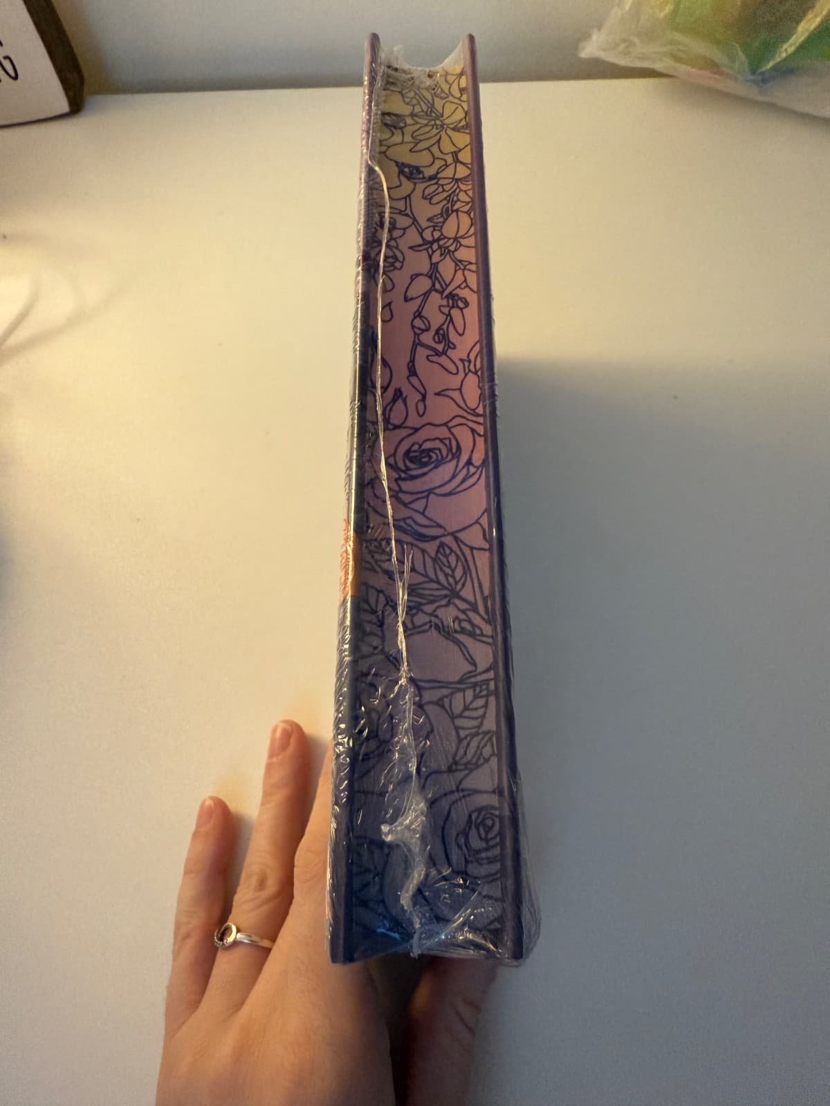 SIGNED Love in Focus by Lyla Lee ILLUMICRATE AFTERLIGHT EXCLUSIVE ~ Sealed - Thumbnail 3