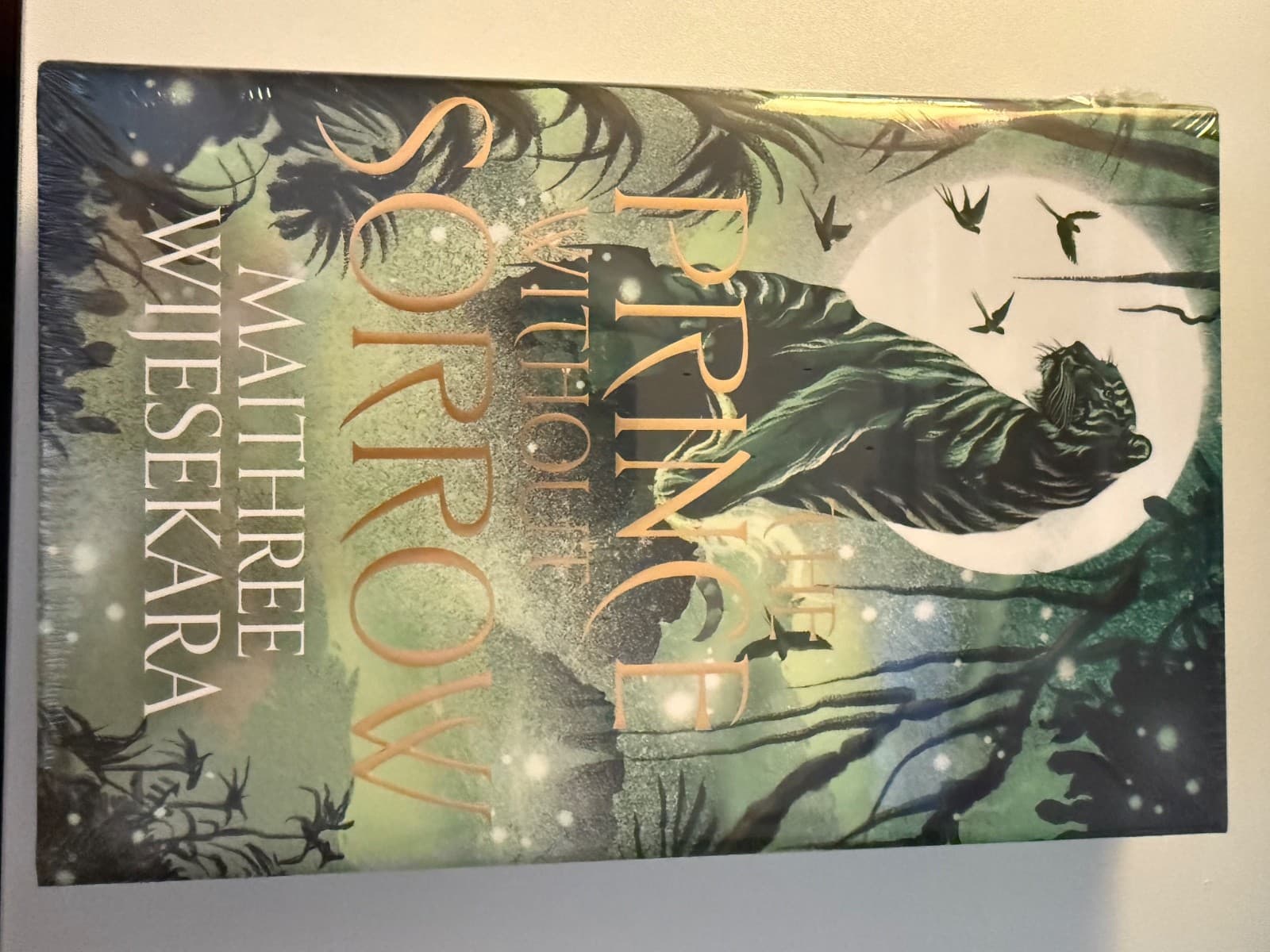 The Prince Without Sorrow by Maithree Wijesekara -Illumicrate Special Edition