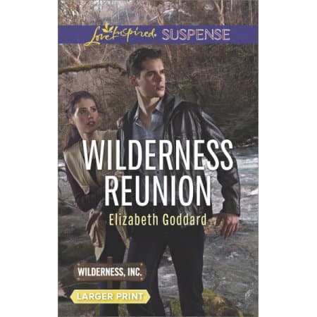 Wilderness Reunion by Elizabeth Goddard (Mass Market Paperbound)
