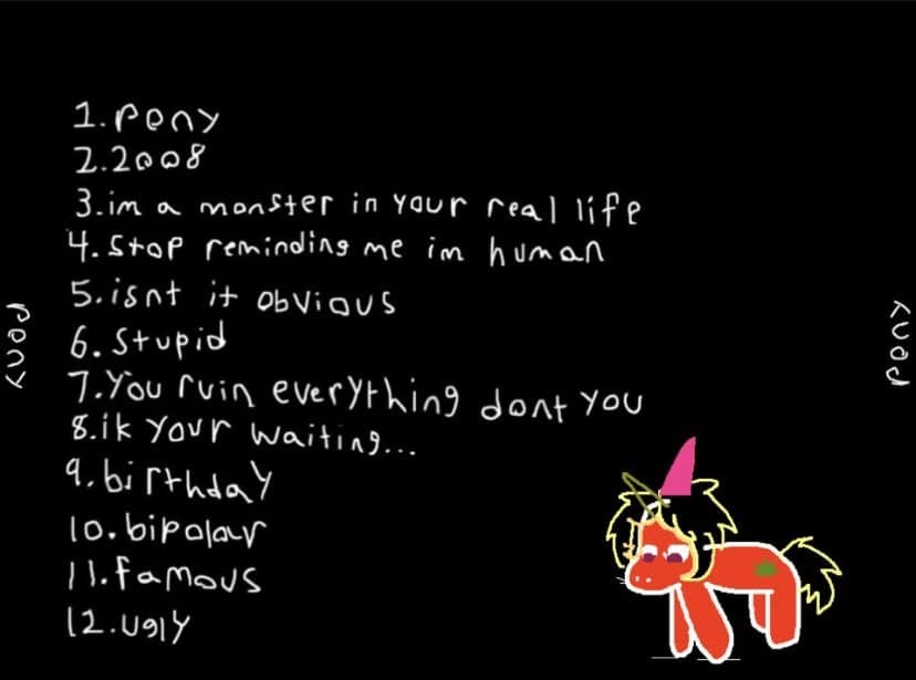WIFISKELETON - Pony CD Album - Thumbnail 2