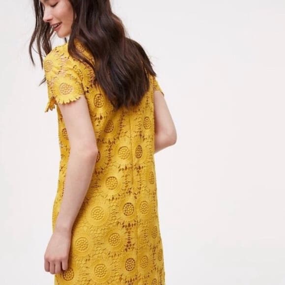 NWT LOFT Sunflower Lace Mini Dress Women Sz.4 Short Sleeve Lined Yellow - Thumbnail 7