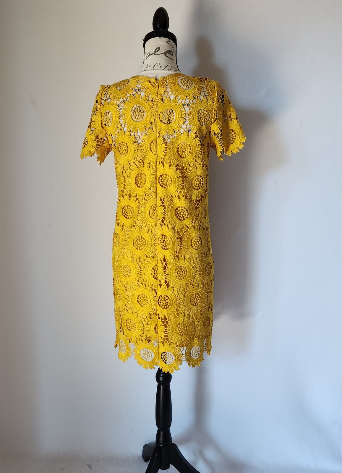NWT LOFT Sunflower Lace Mini Dress Women Sz.4 Short Sleeve Lined Yellow - Thumbnail 8