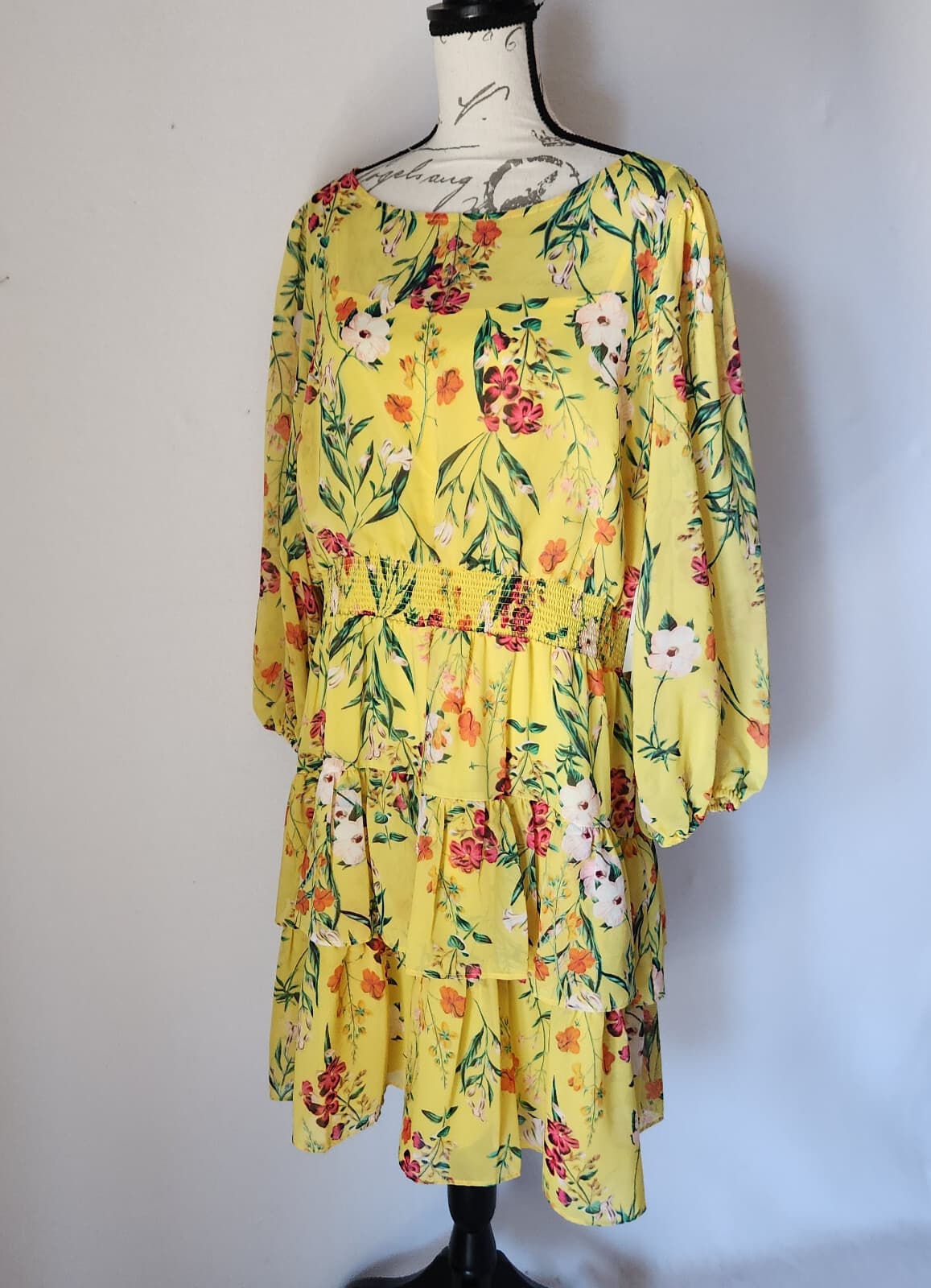 NWT Eliza J Floral Chiffon Jewel Neck Tiered Ruffle Dress Smock-Waist Sz.18 $148 - Thumbnail 3