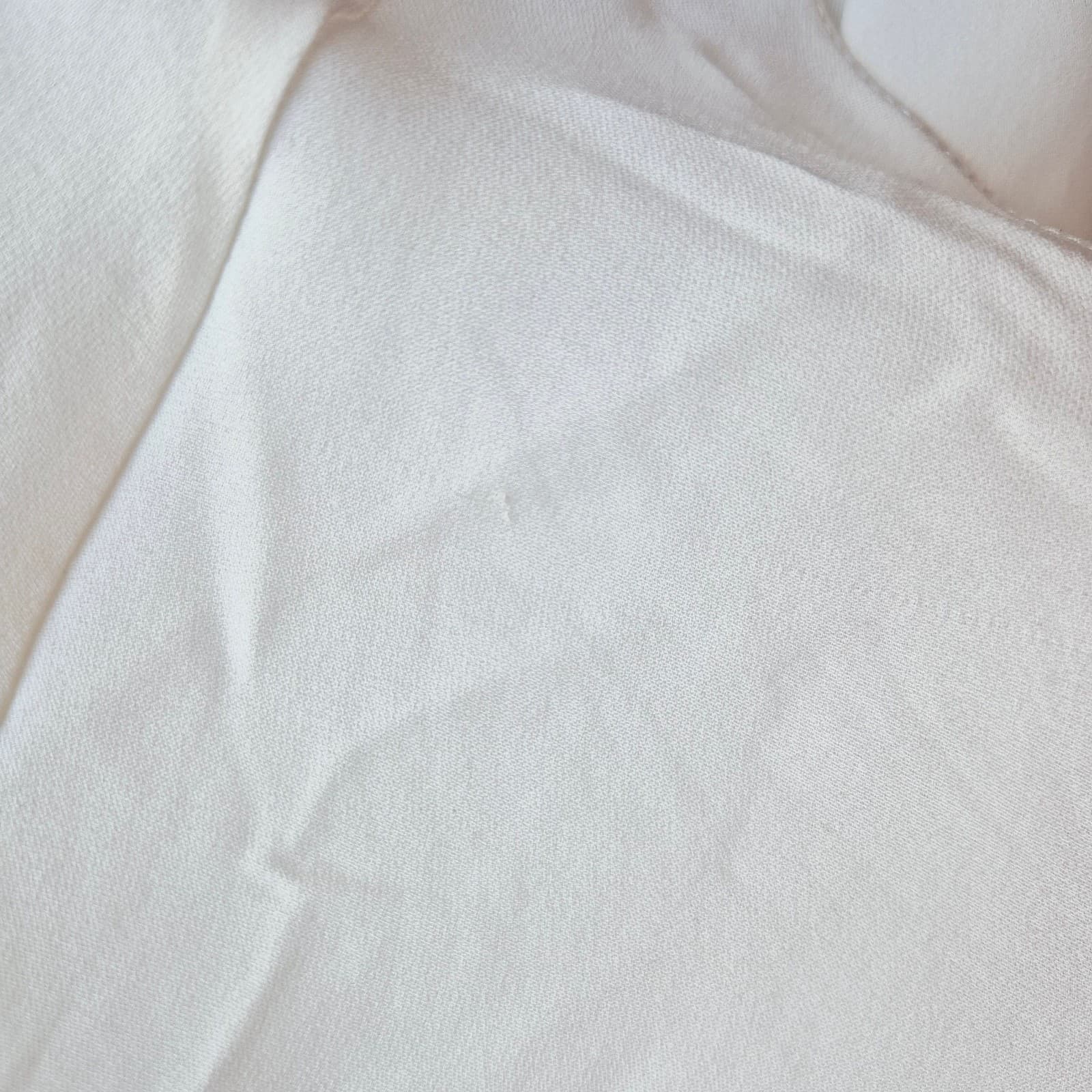 NWoT BCBGMaxazria 100% Silk Party Evening Sheer Chiffon Mini Dress Ivory Sz.L - Thumbnail 14
