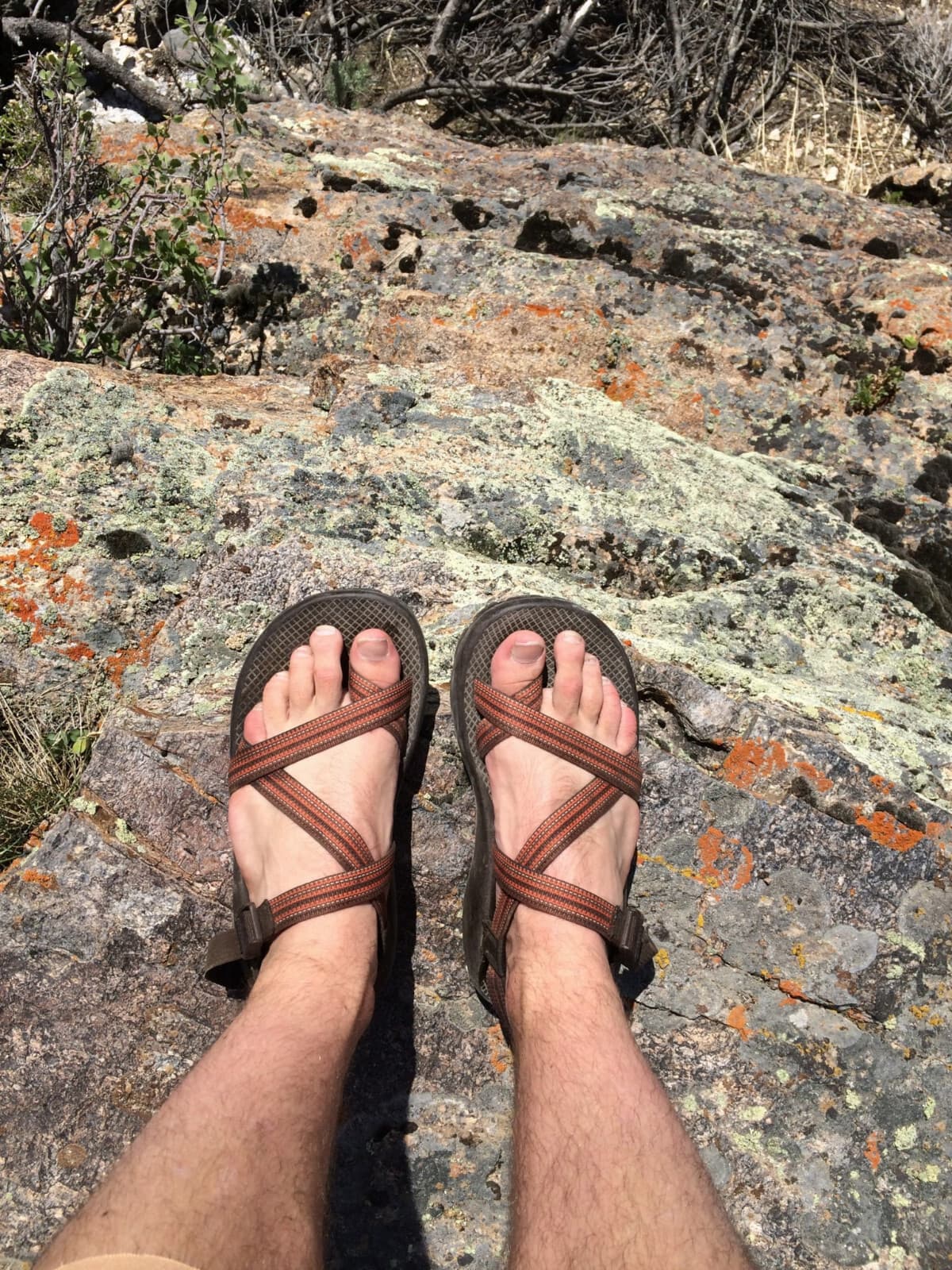 Chaco Z2 Unaweep Classic Sports Sandals Adjustable Strap Brown Black Men's US7 - Thumbnail 3