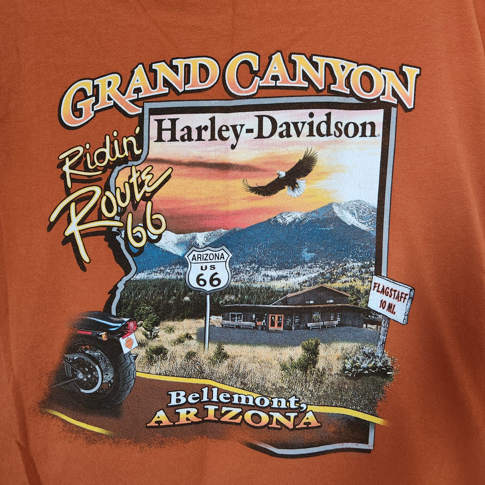 Harley-Davidson Grand Canyon Route 66 Graphic T-Shirt Orange Men Chest 47" L/XL - Thumbnail 6
