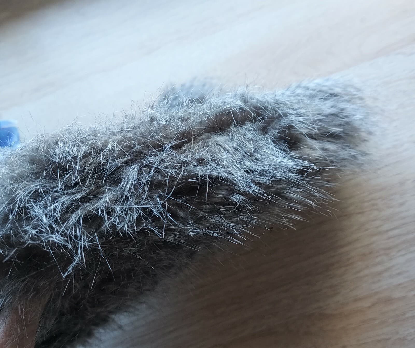 NWT ANN TAYLOR Genuine Leather Faux Fur Chinchilla Clutch Bag Purse Black $128 - Thumbnail 4
