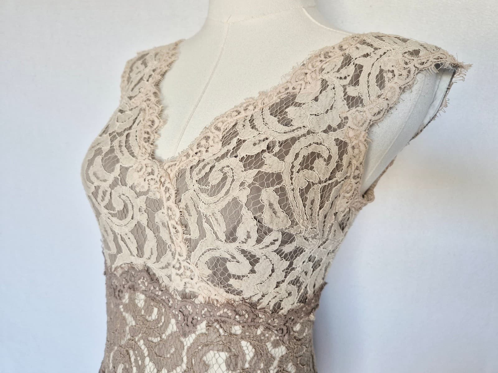 TADASHI SHOJI Embroidered Lace Formal Maxi Dress Gown Sleeveless Beige Womens 4P - Thumbnail 6