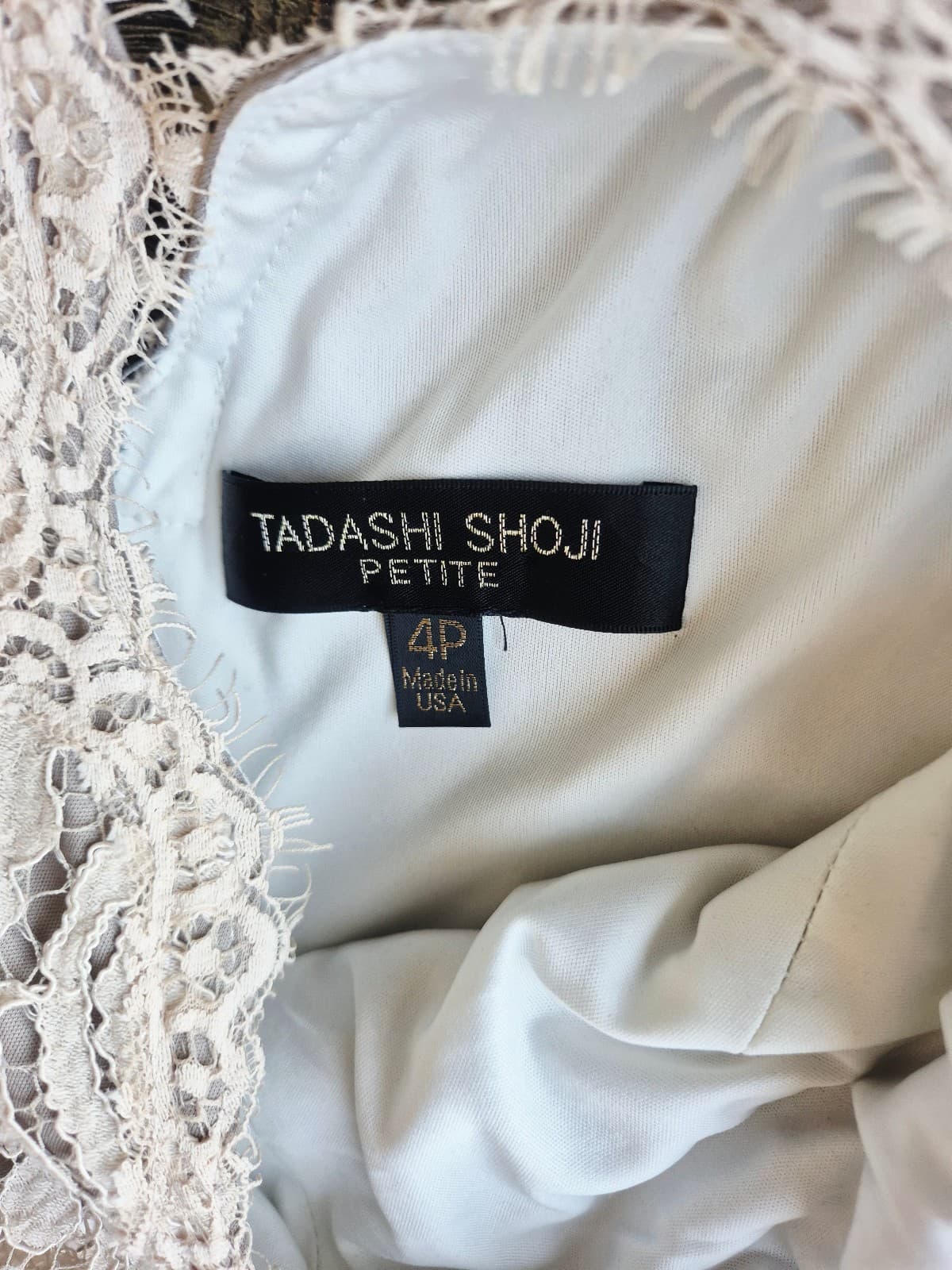 TADASHI SHOJI Embroidered Lace Formal Maxi Dress Gown Sleeveless Beige Womens 4P - Thumbnail 14