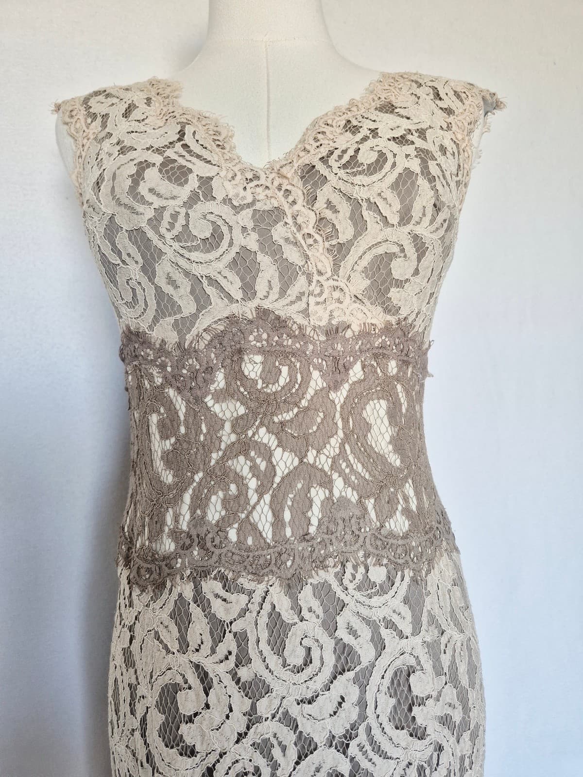 TADASHI SHOJI Embroidered Lace Formal Maxi Dress Gown Sleeveless Beige Womens 4P - Thumbnail 8