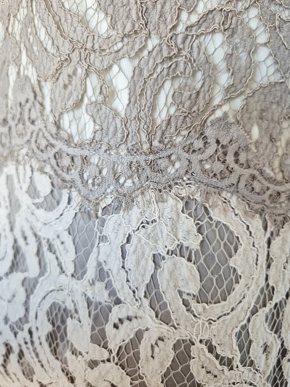 TADASHI SHOJI Embroidered Lace Formal Maxi Dress Gown Sleeveless Beige Womens 4P - Thumbnail 7