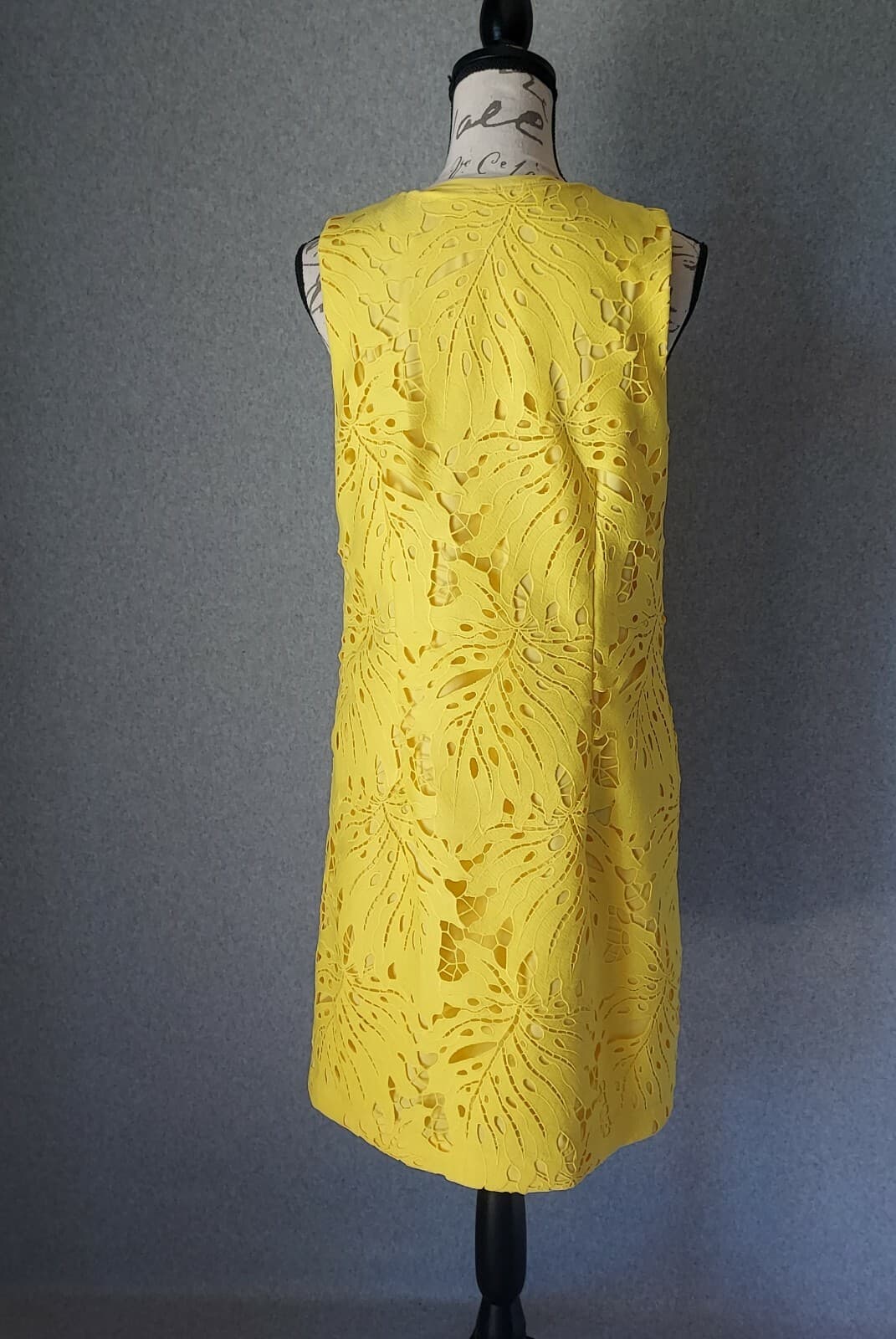 Banana Republic Leaf Lace Mini Tunic Sheath Dress Sleeveless Lined Yellow Sz.10 - Thumbnail 6
