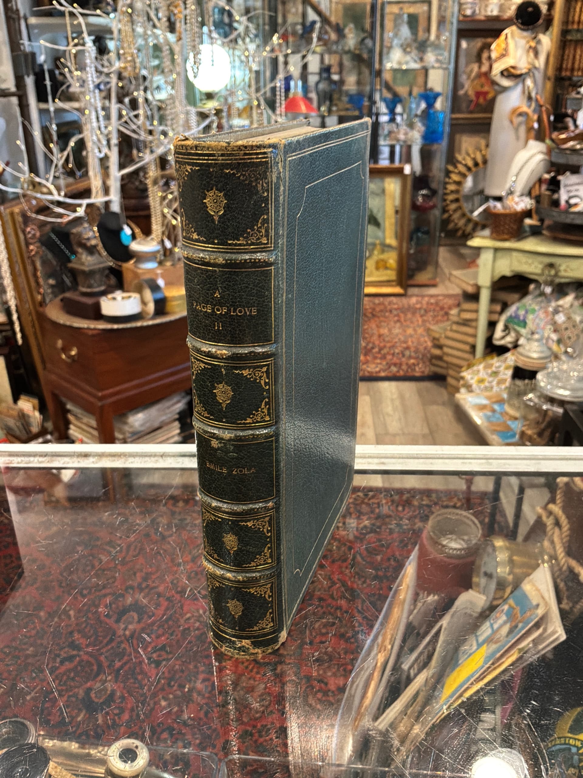 Antique 1884 Emile Zola “A Page of Love” Vol II Limited Edition No. 576/1000 Japanese Vellum Leather Bound Illustrated Book - Regular - Thumbnail 3