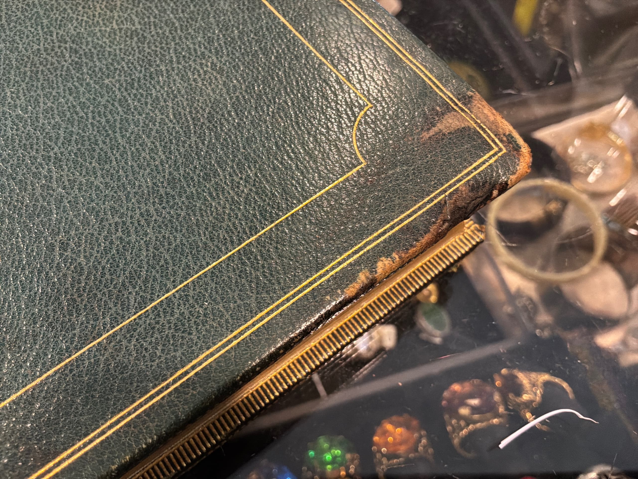 Antique 1884 Emile Zola “A Page of Love” Vol II Limited Edition No. 576/1000 Japanese Vellum Leather Bound Illustrated Book - Regular - Thumbnail 2