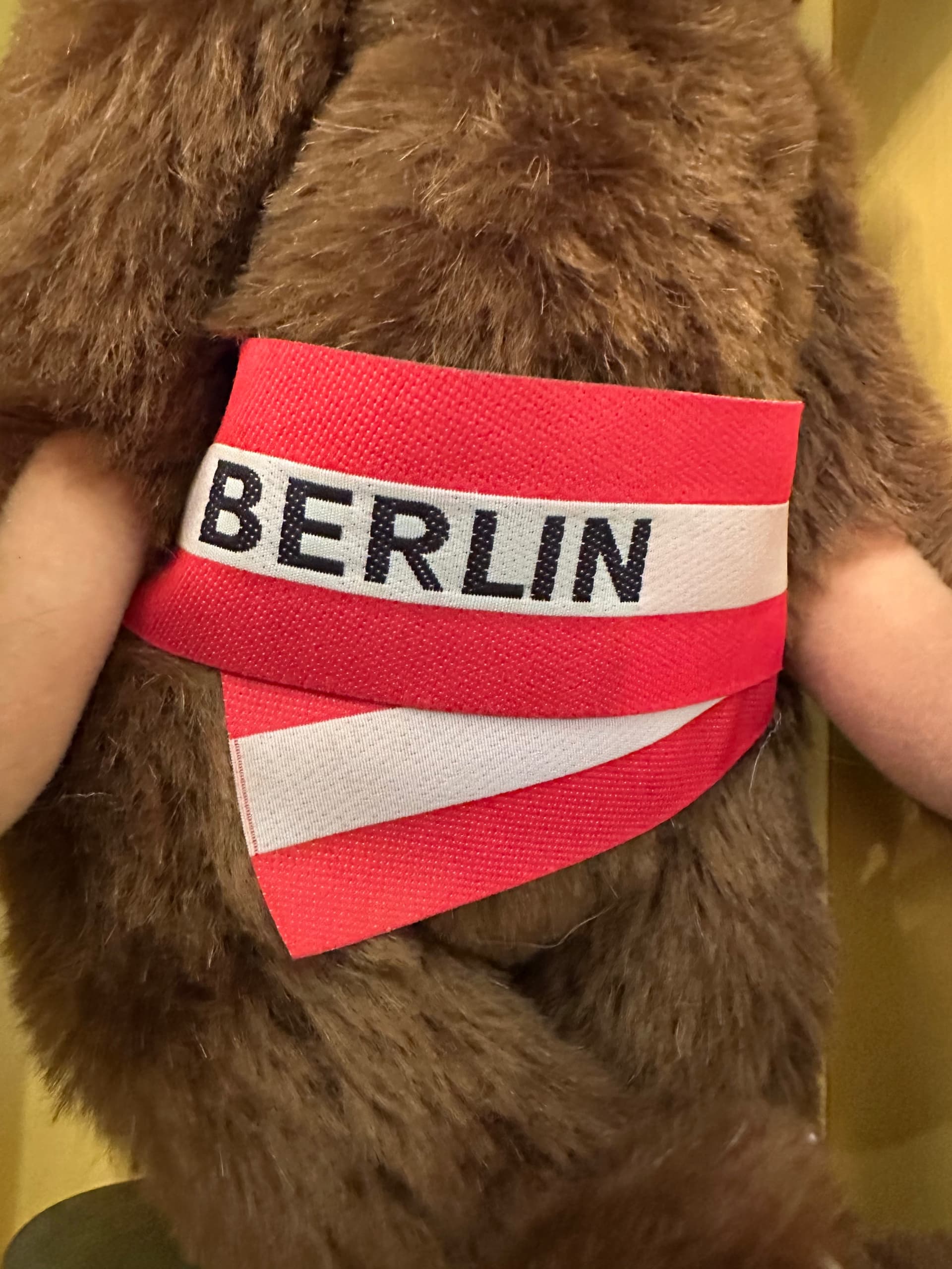 1985 Chocloate Brown Steiff Berlin Bear - Regular - Thumbnail 2