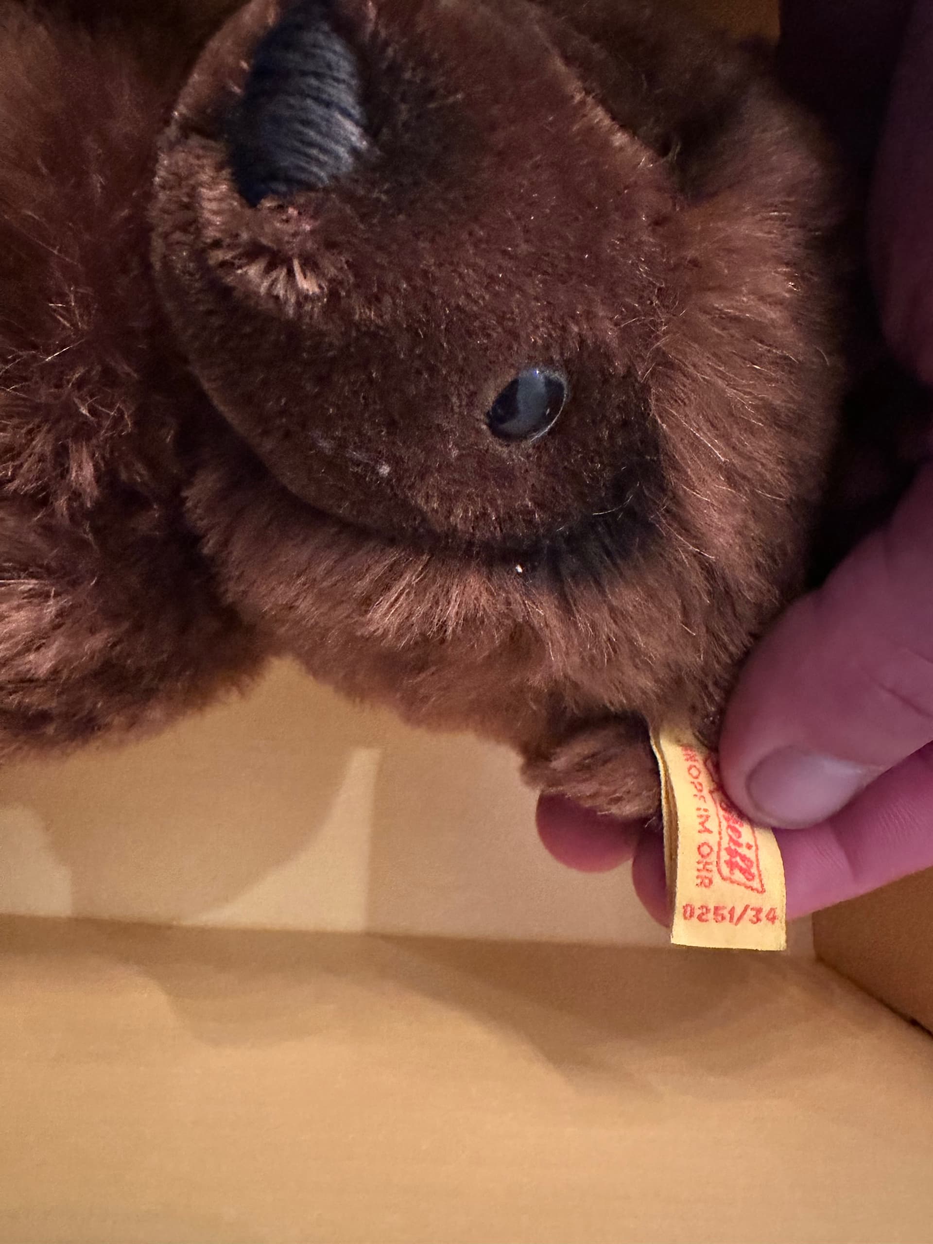 1985 Chocloate Brown Steiff Berlin Bear - Regular - Thumbnail 7
