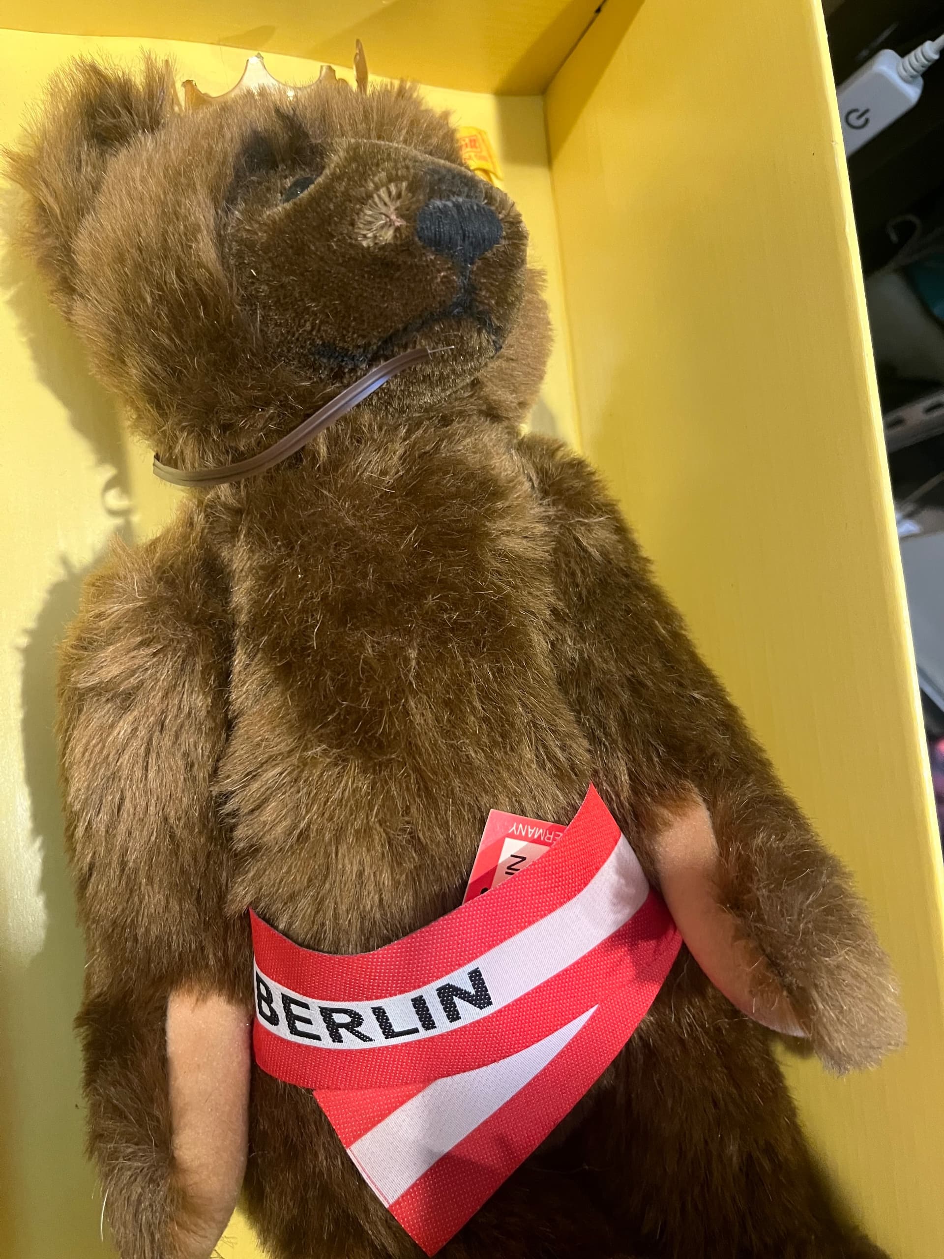 1985 Chocloate Brown Steiff Berlin Bear - Regular - Thumbnail 11