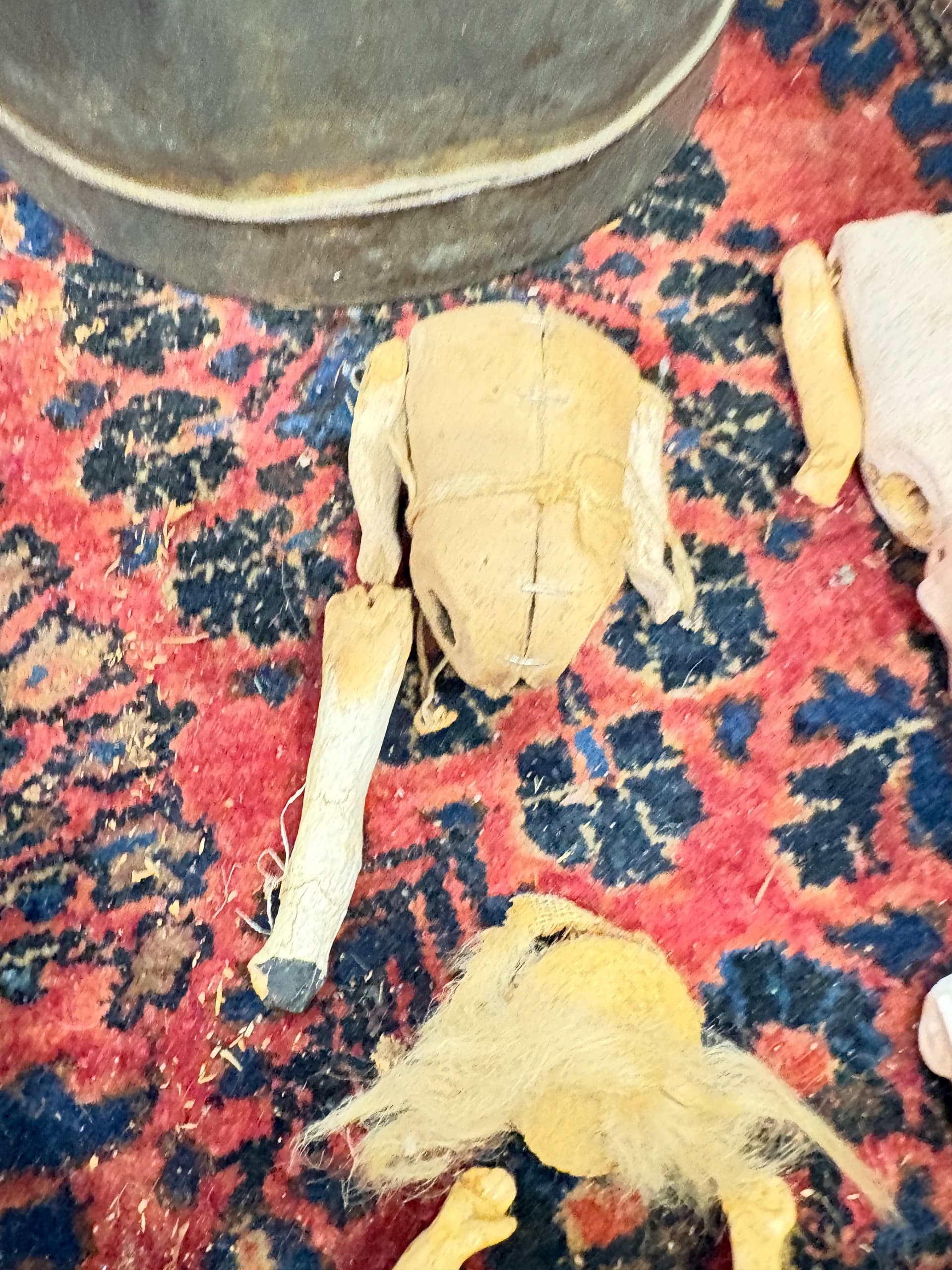 Antique Doll Parts Lot — Bisque Heads, Composition Bodies, Kid Leather, Cloth — 1880s–1910s — Restoration, Assemblage, Curiosity Collection 1270 - Regular - Thumbnail 2