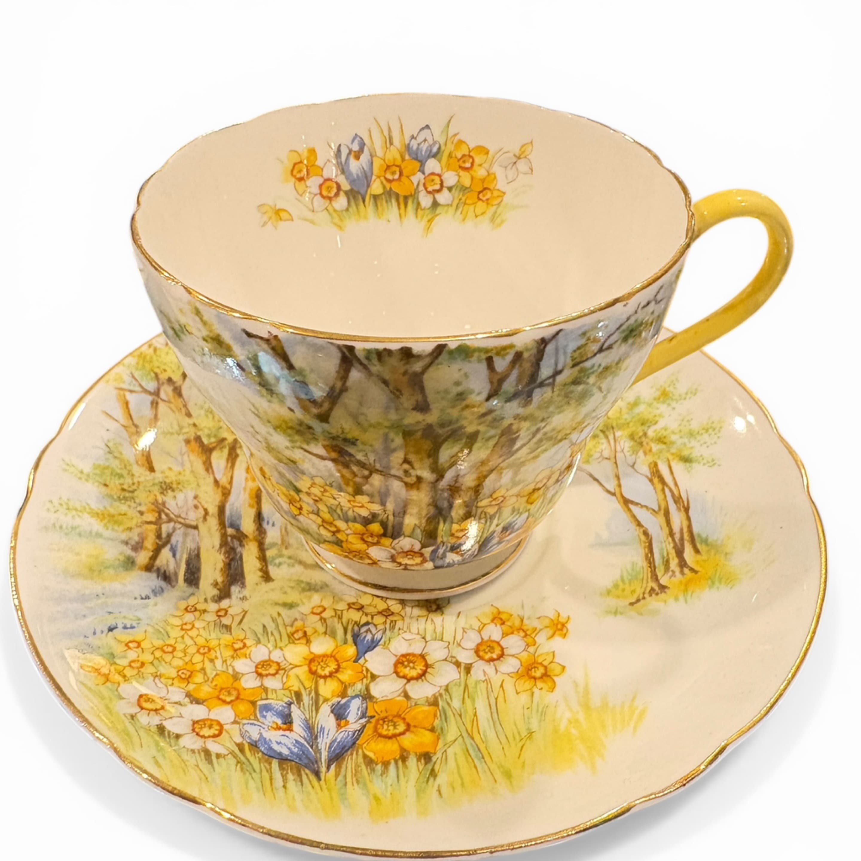 Shelley Daffodil Time Teacup - Regular