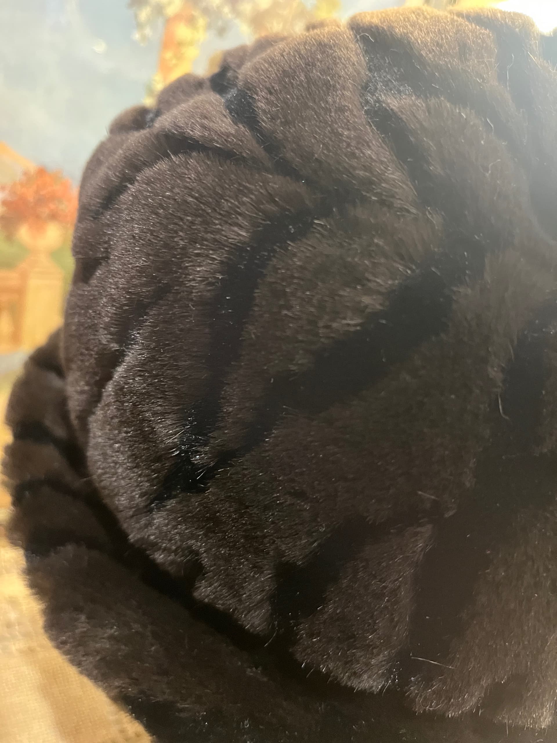Dark Faux Fur Hat [1268] - Regular - Thumbnail 3