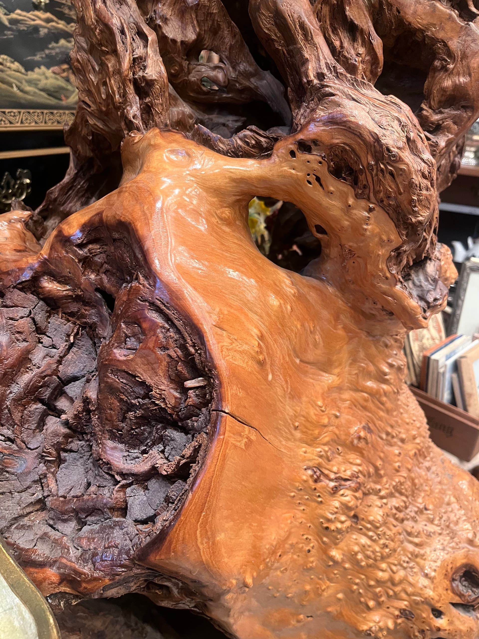 3ft x 2ft Natural Burl Pedestal - Regular - Thumbnail 6