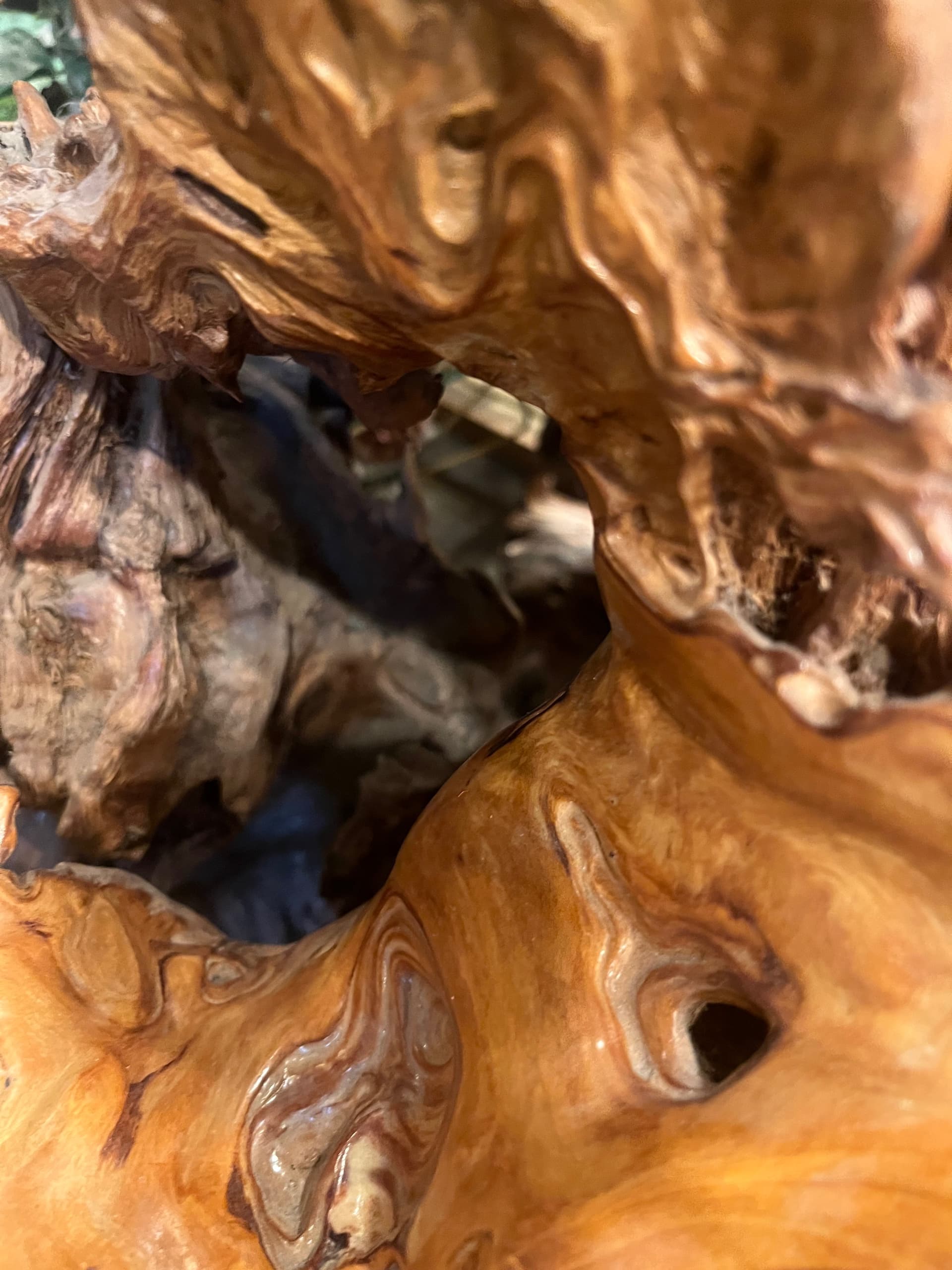 3ft x 2ft Natural Burl Pedestal - Regular - Thumbnail 5