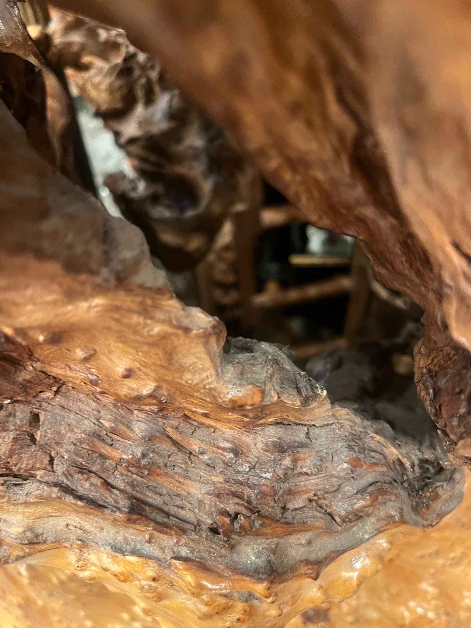 3ft x 2ft Natural Burl Pedestal - Regular - Thumbnail 4