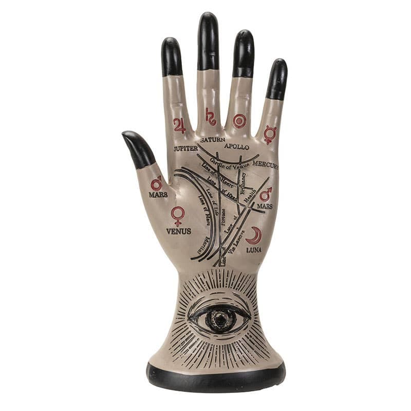 Pacific Trading - Palmistry Hand - Regular - Thumbnail 2