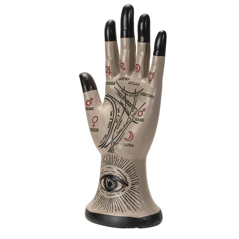Pacific Trading - Palmistry Hand - Regular - Thumbnail 5